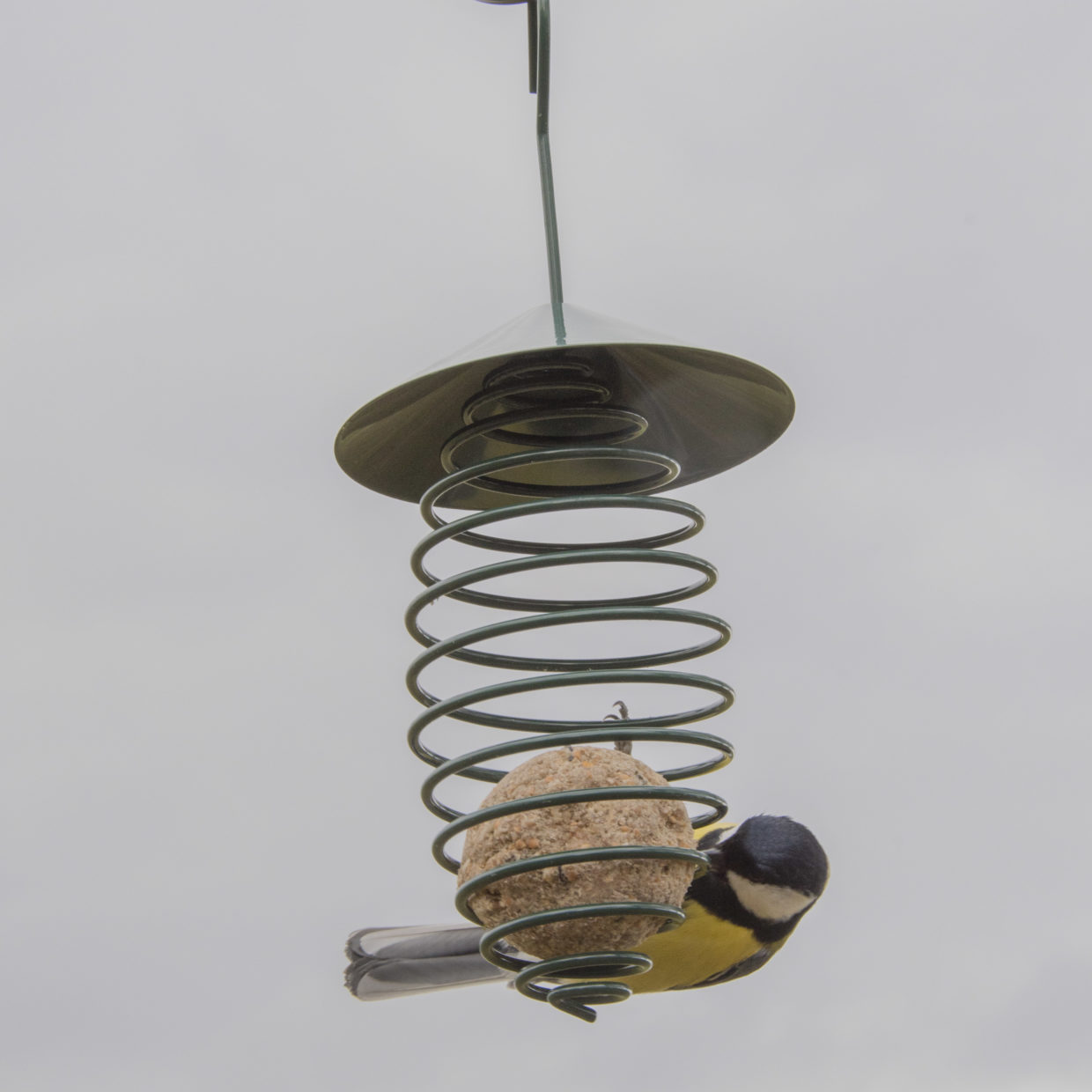 Futterfeder mit Dach L 10,5 x T 10,5 x H 26,2