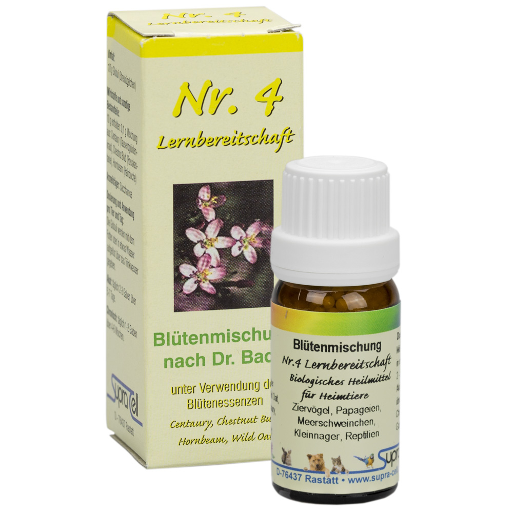 551004UgSJuBX6POjz1 Nr. 4 Lernbereitschaft Bachblütenmischung - 10 gr. Globuli