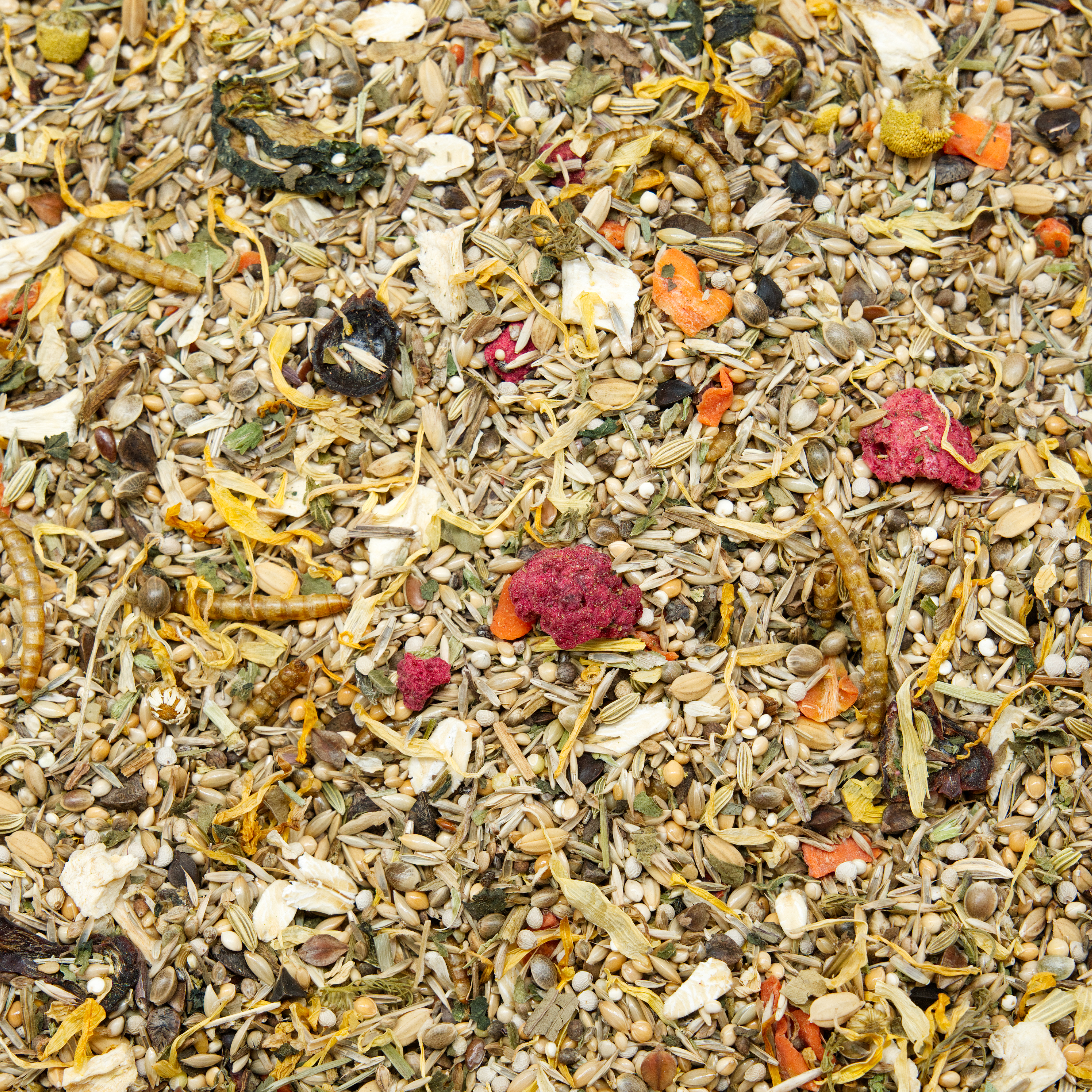 Rennmaus Spezial, 500g