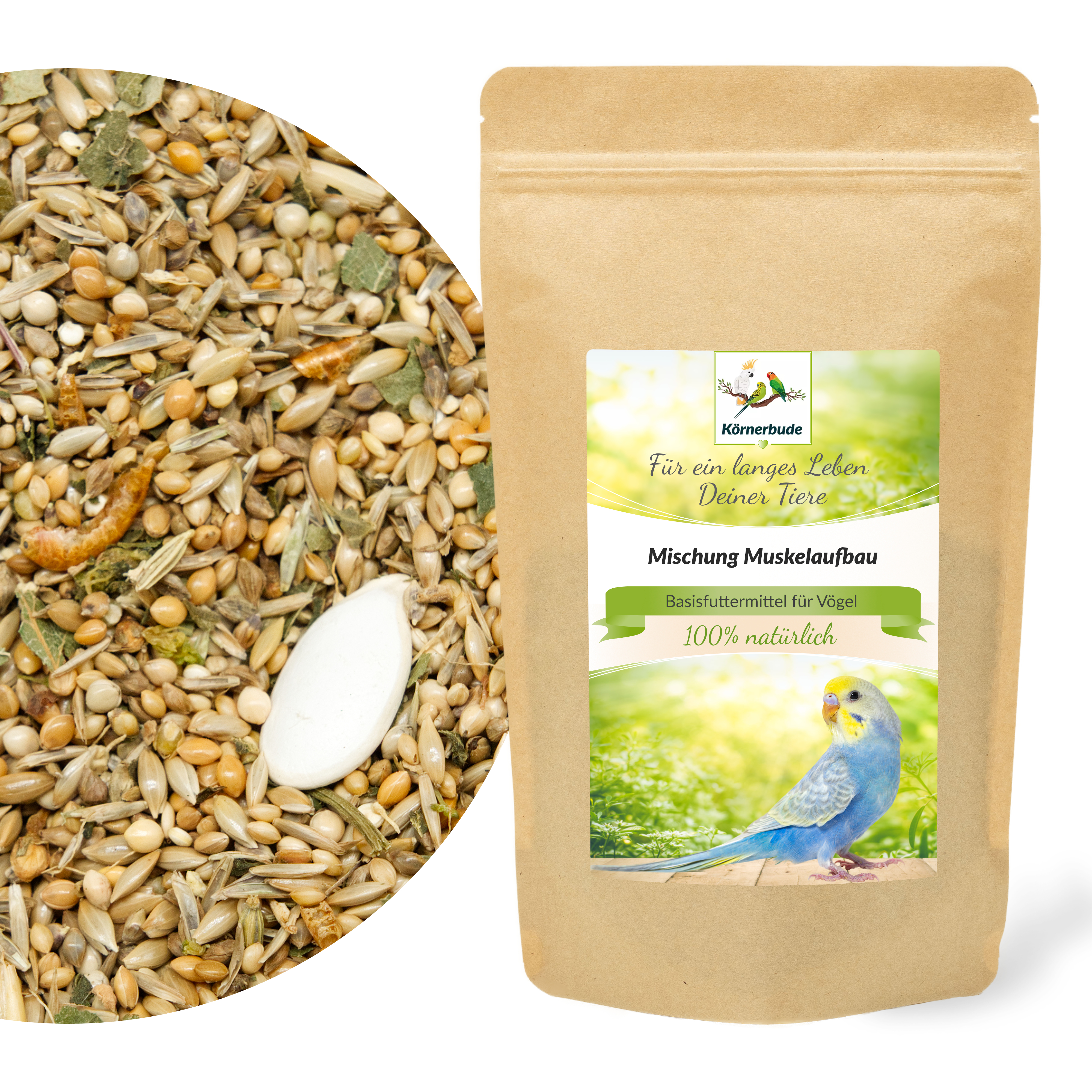 Mischung Muskelaufbau, 500g