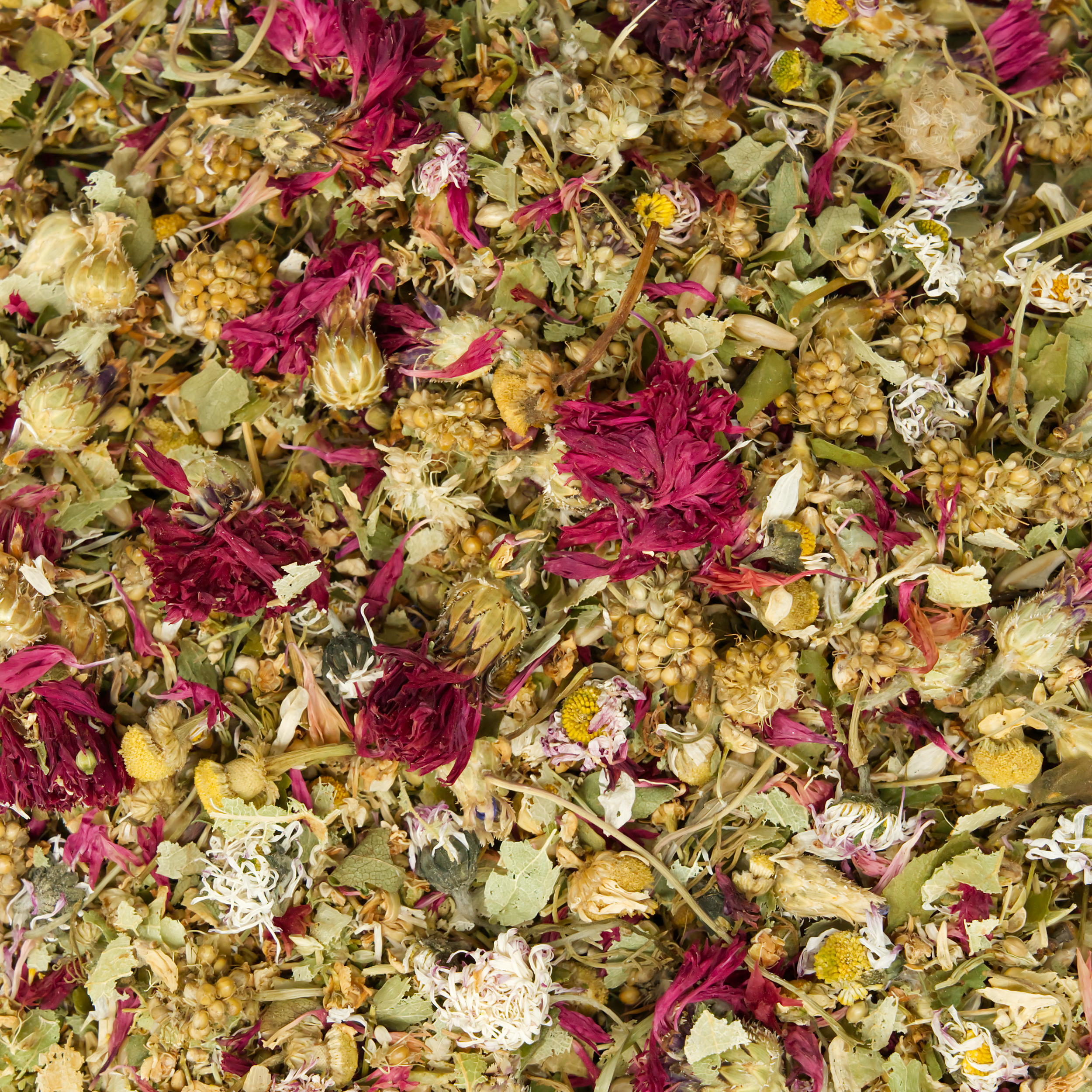 schreddermix_gruen_fuer_voegel_koernerbude_sittiche