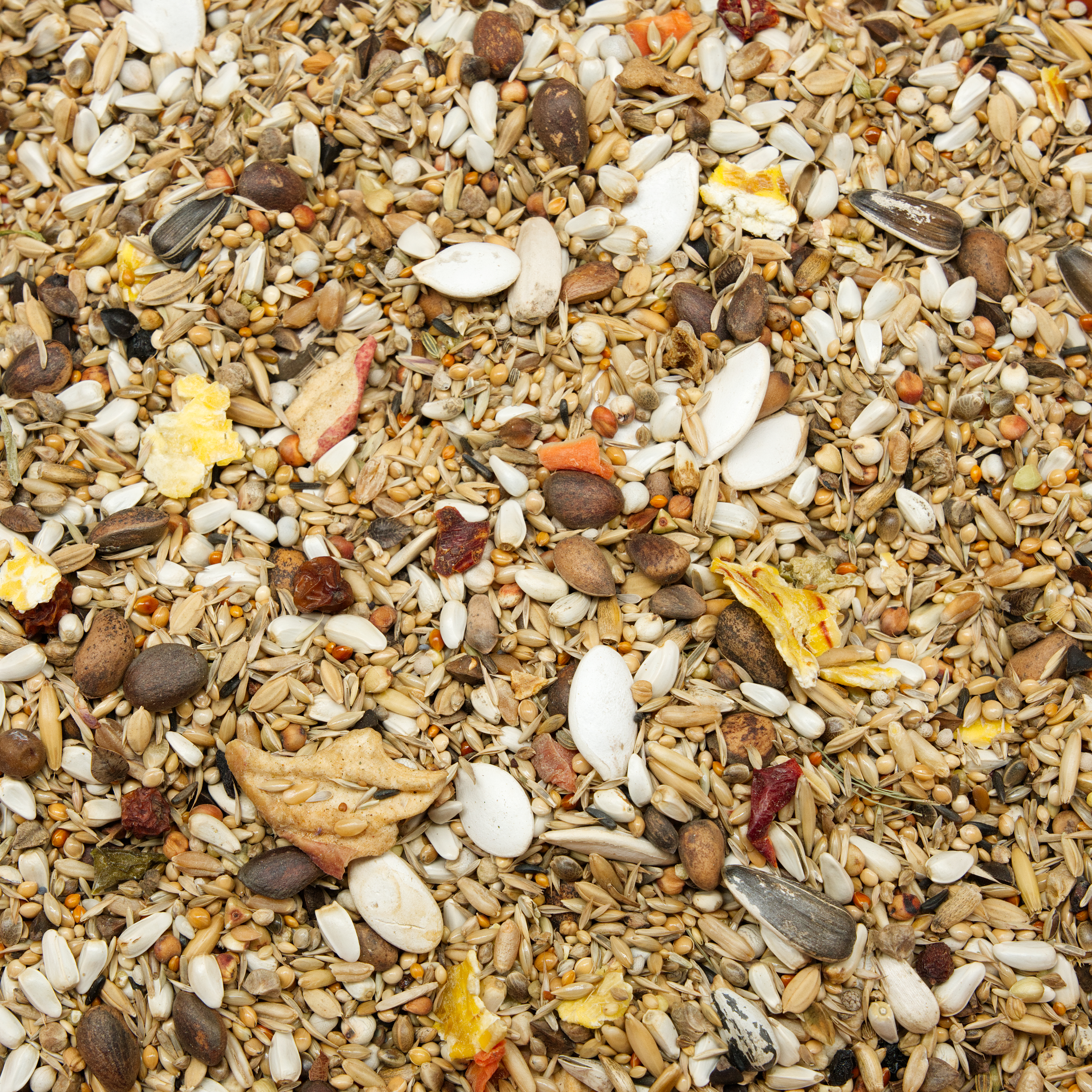 suedamerika_premium_futtermischungen_koernerbude