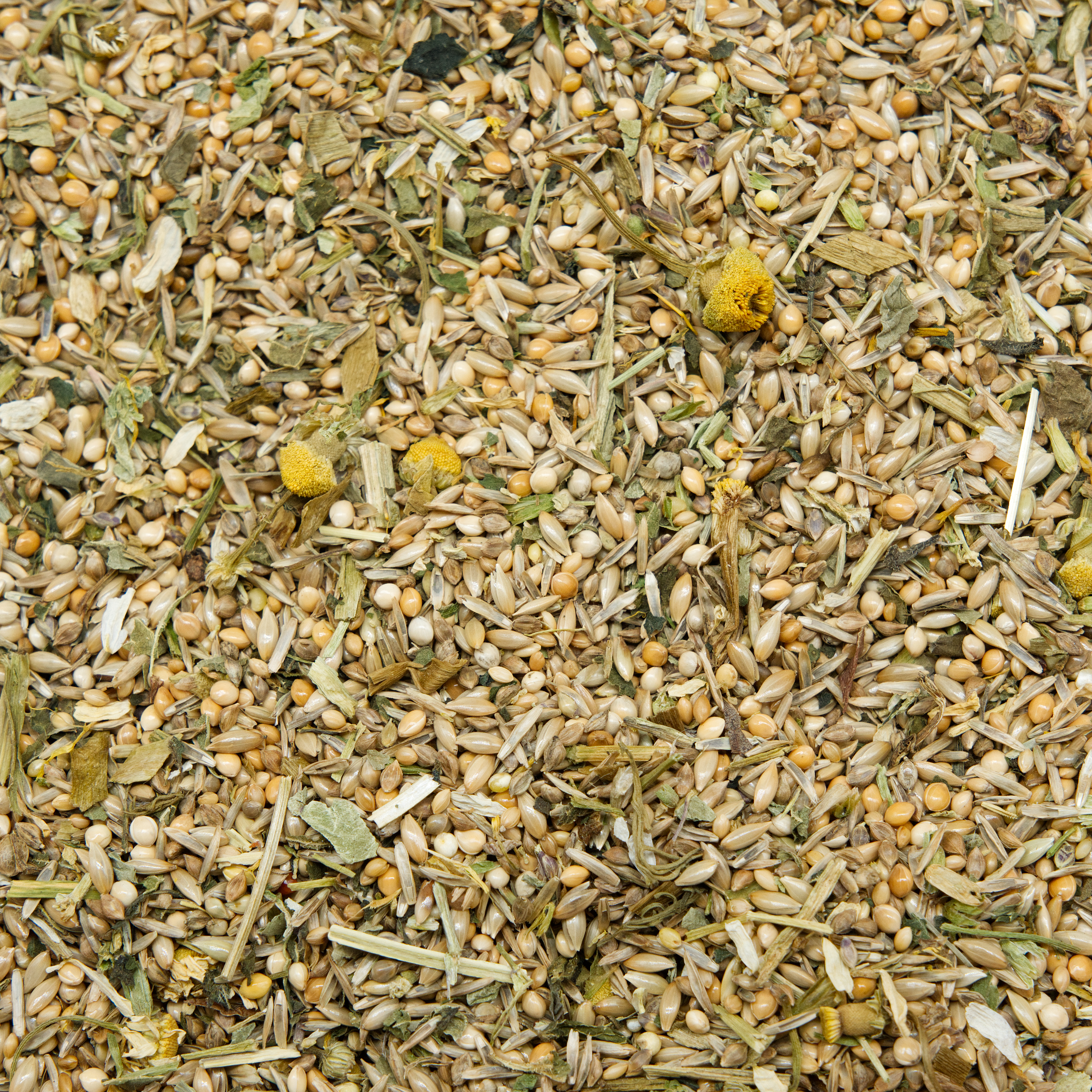 mischung_kraeuter_wellensittichfutter_koernerbude Mischung Kräuter