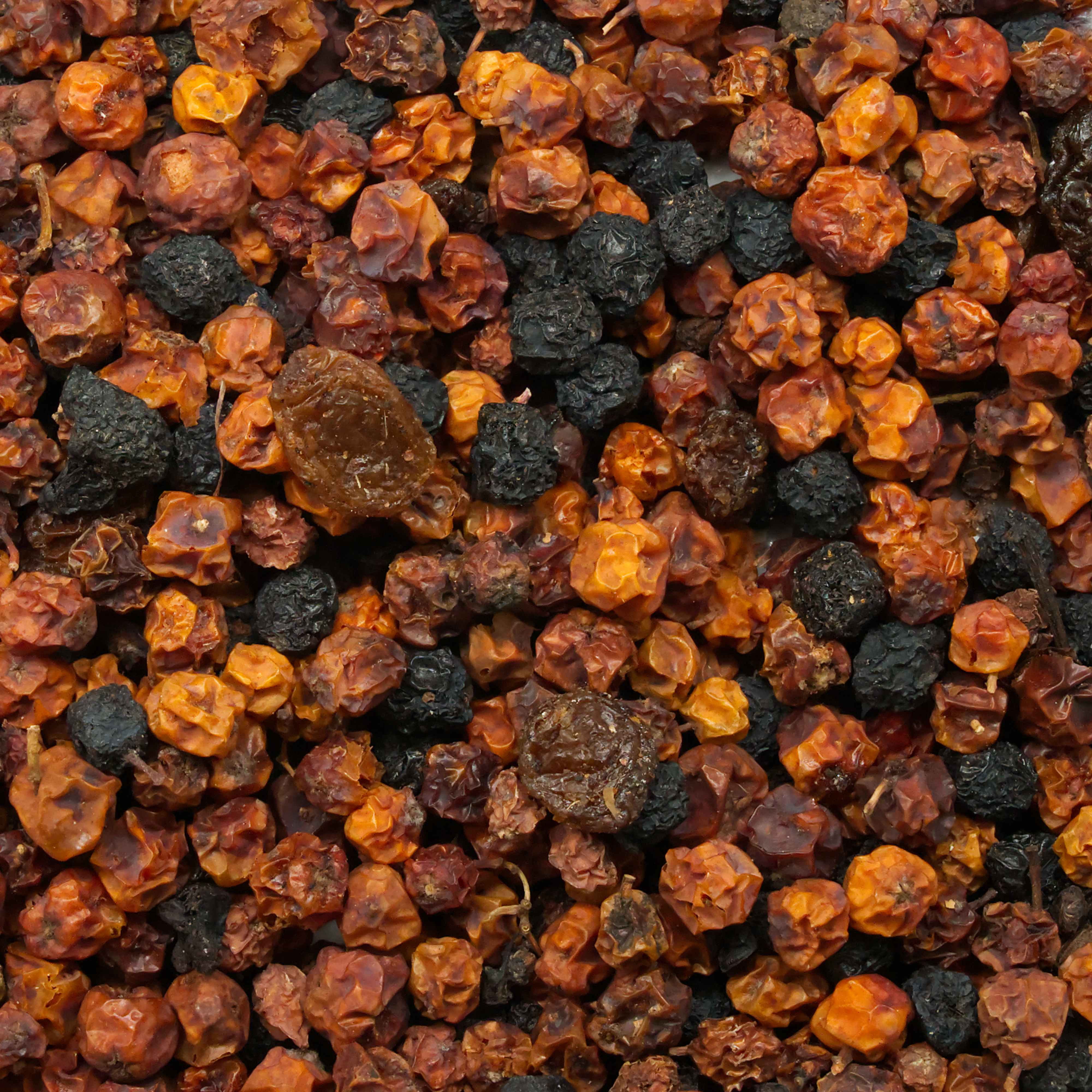 beeren_mischung_fuer_voegel_koernerbudepJcw4qGbTRfos