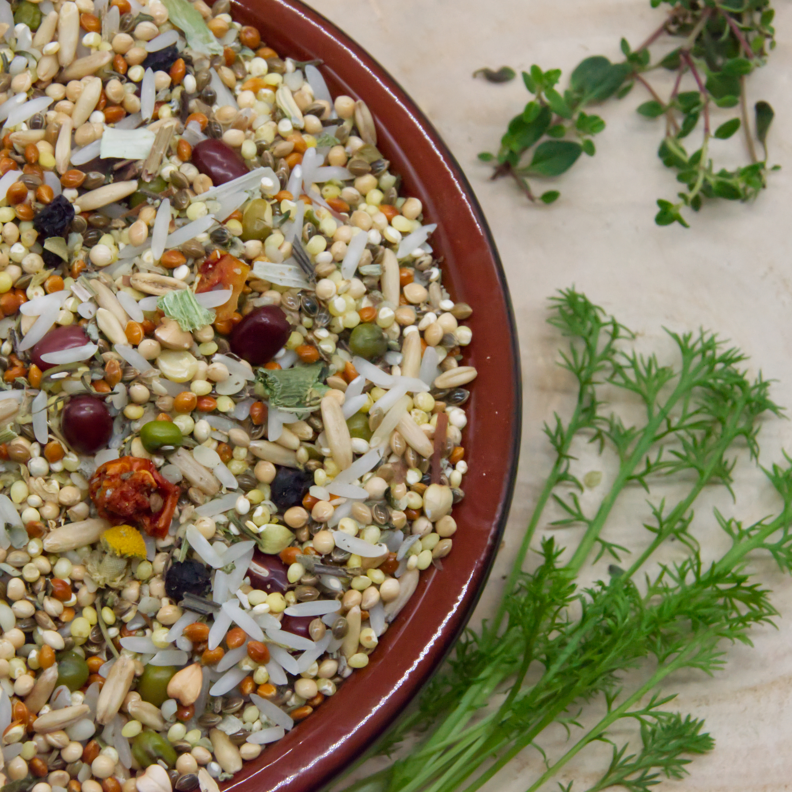 kochfuttermegaUOVC1X9xlm2ZZ