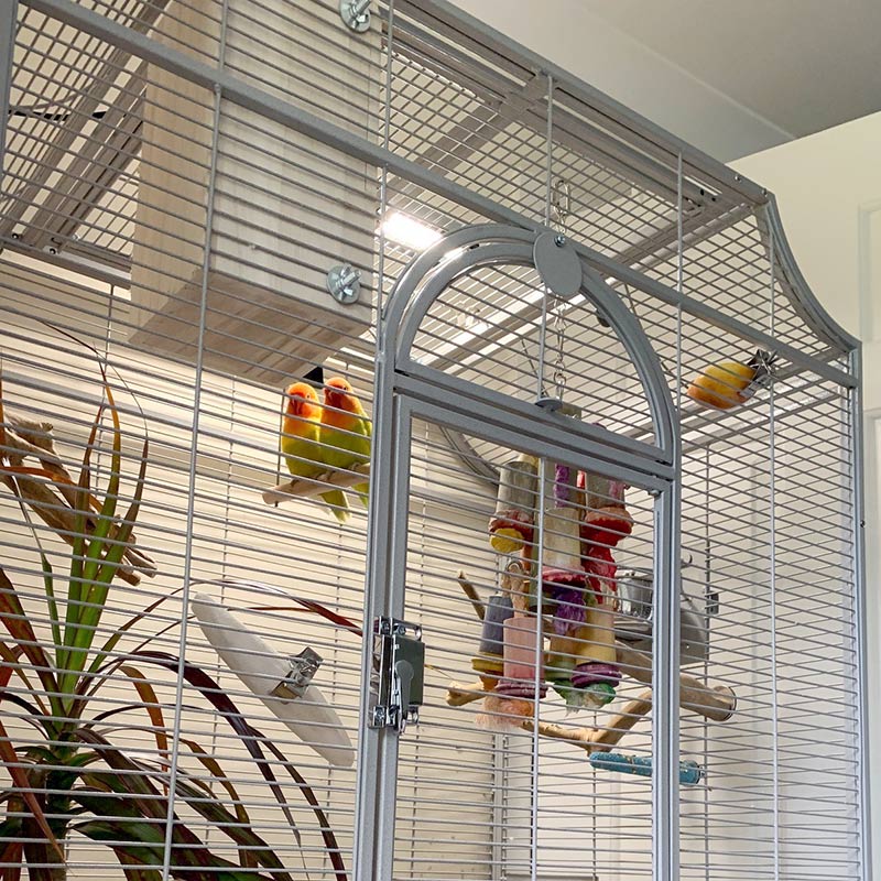 tilly-and-ted-nest-box2