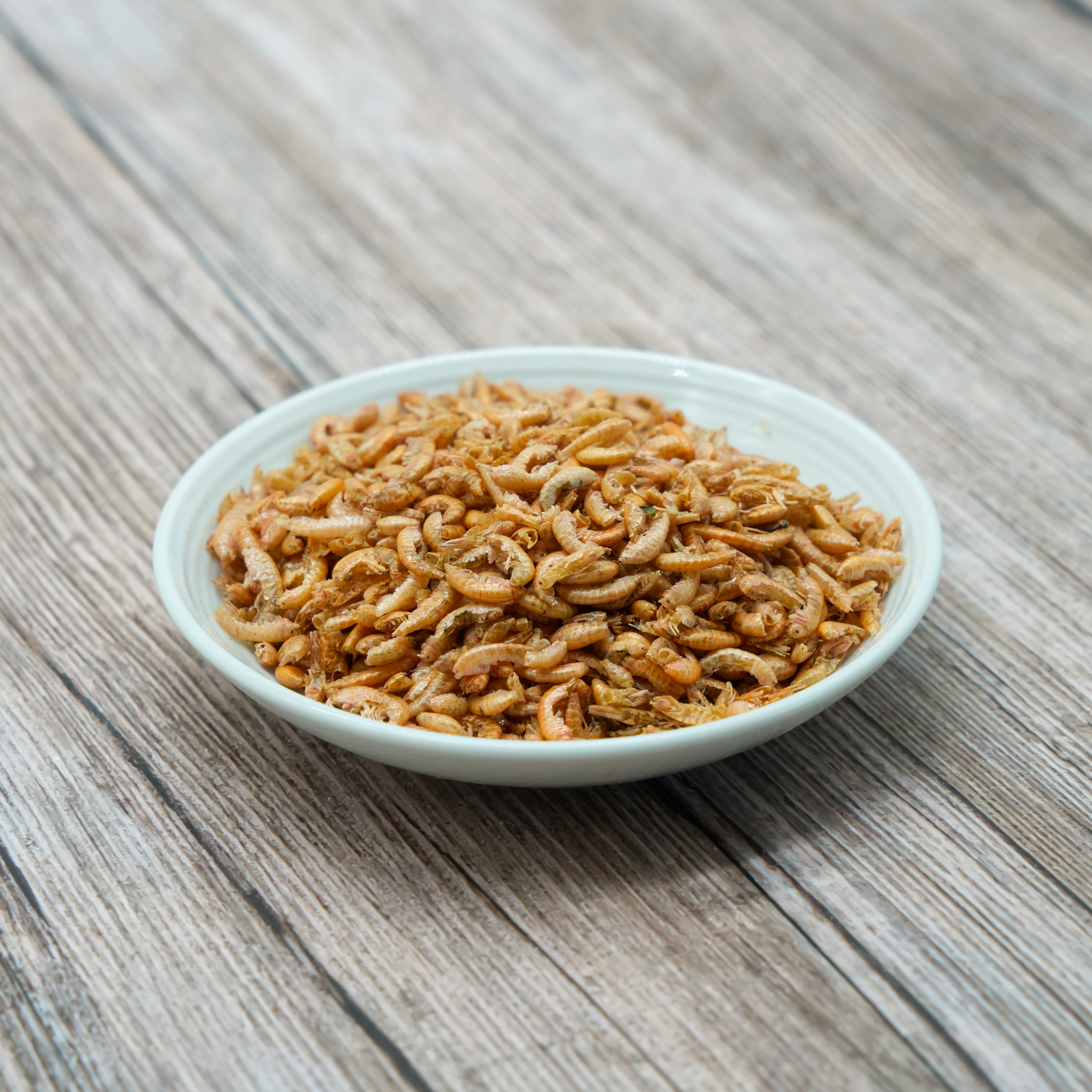 gammarus-einzelfutter-fuer-voegel-koernerbude1 Bachflohkrebse/ Gammarus