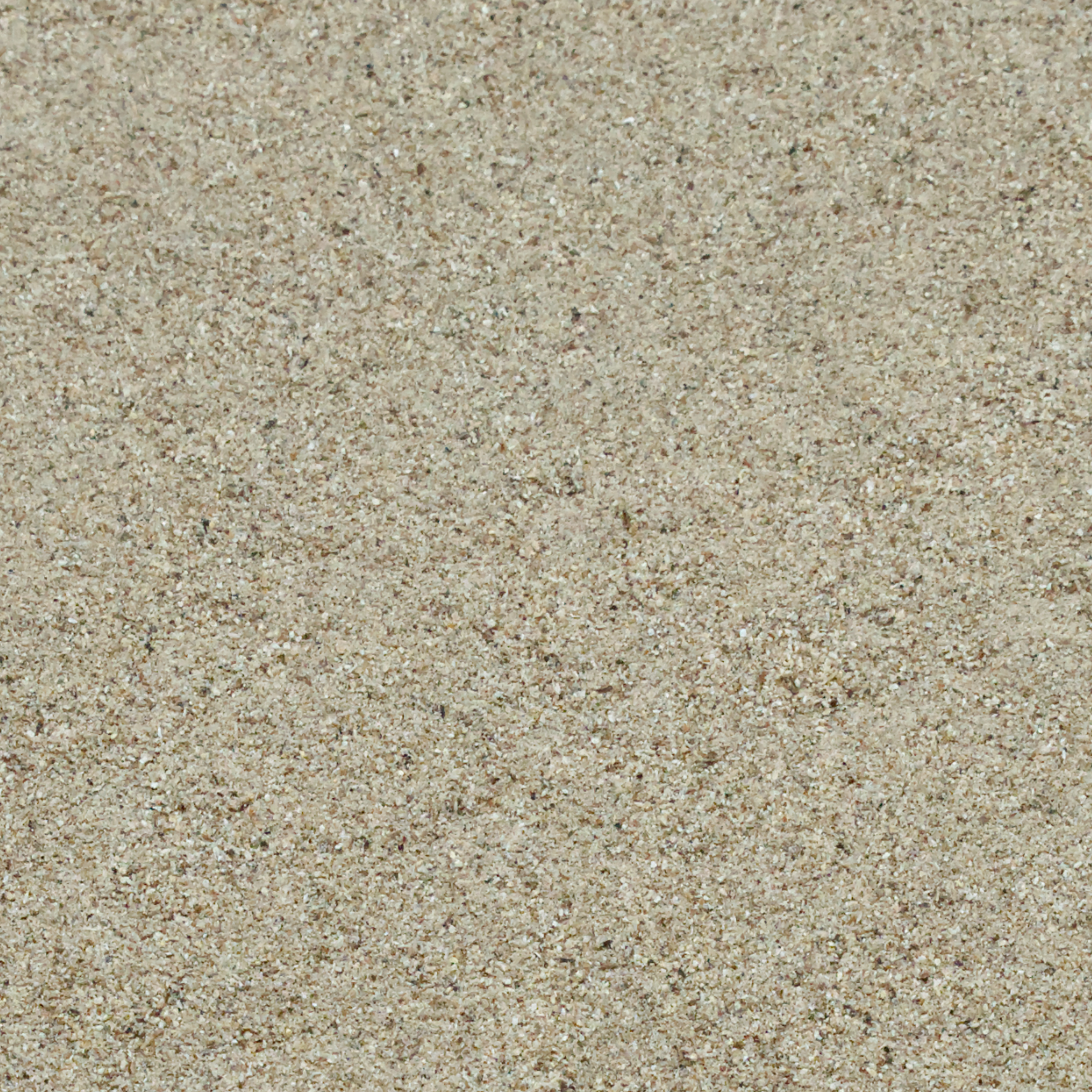 loewenzahnwurzel-einzelfutter-fuer-voegel-koernerbuderqeh2wIXBzKnZ