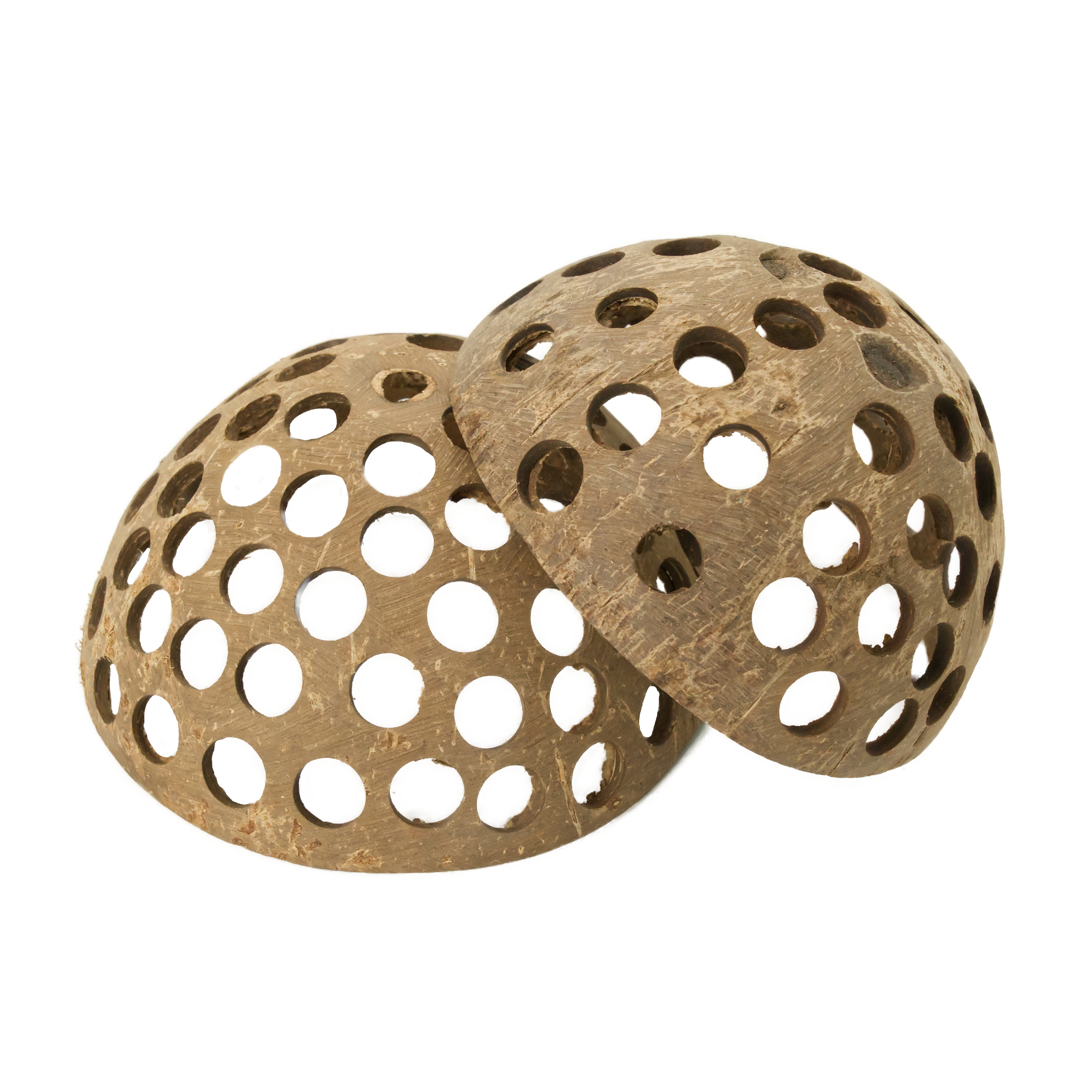 kokosnusshaelfte-gelocht-k-rnerbude Kokosnusschale gelocht ca. 10-13cm