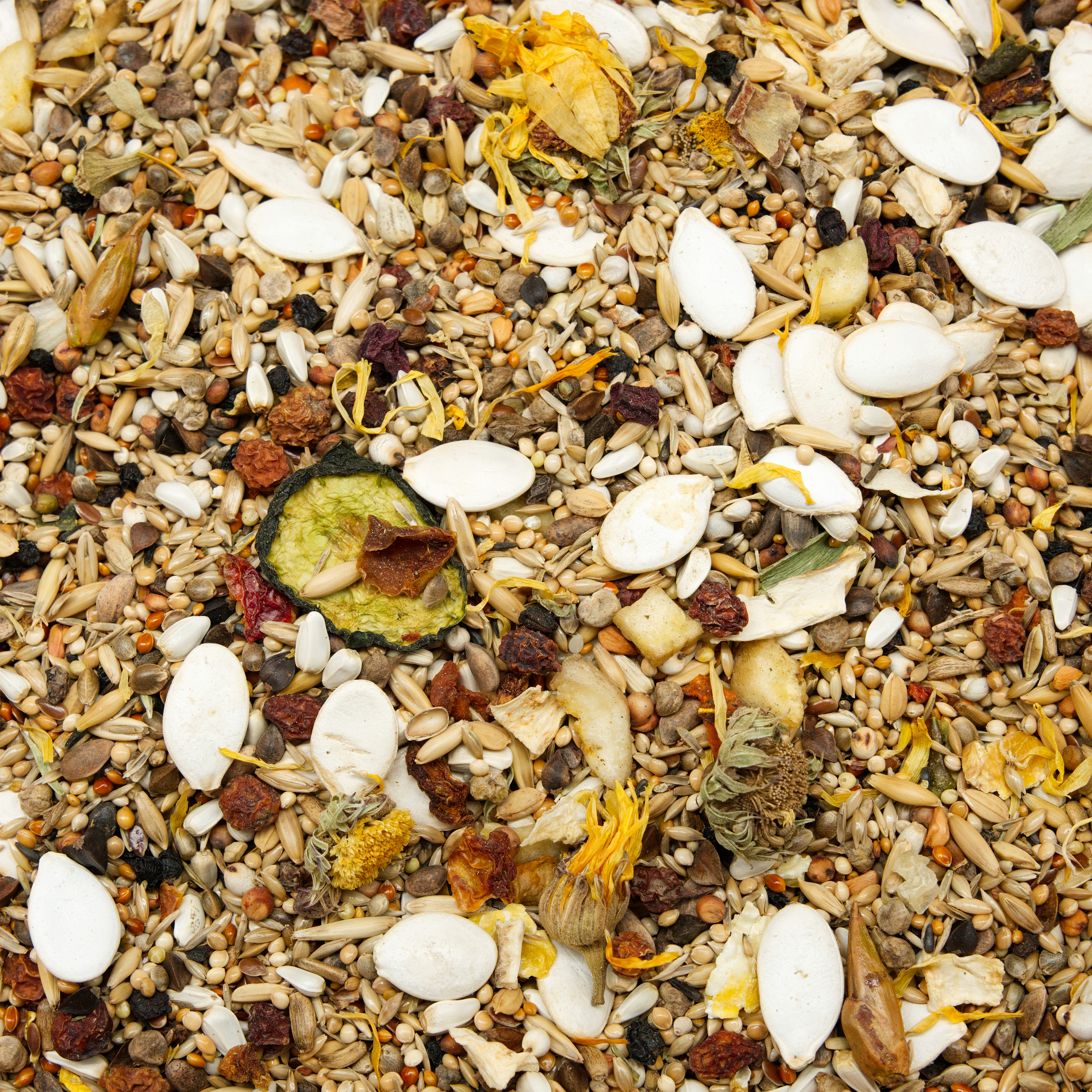 afrikamix_graupapageifutter_mohrenkopfpapageifutter_koernerbude