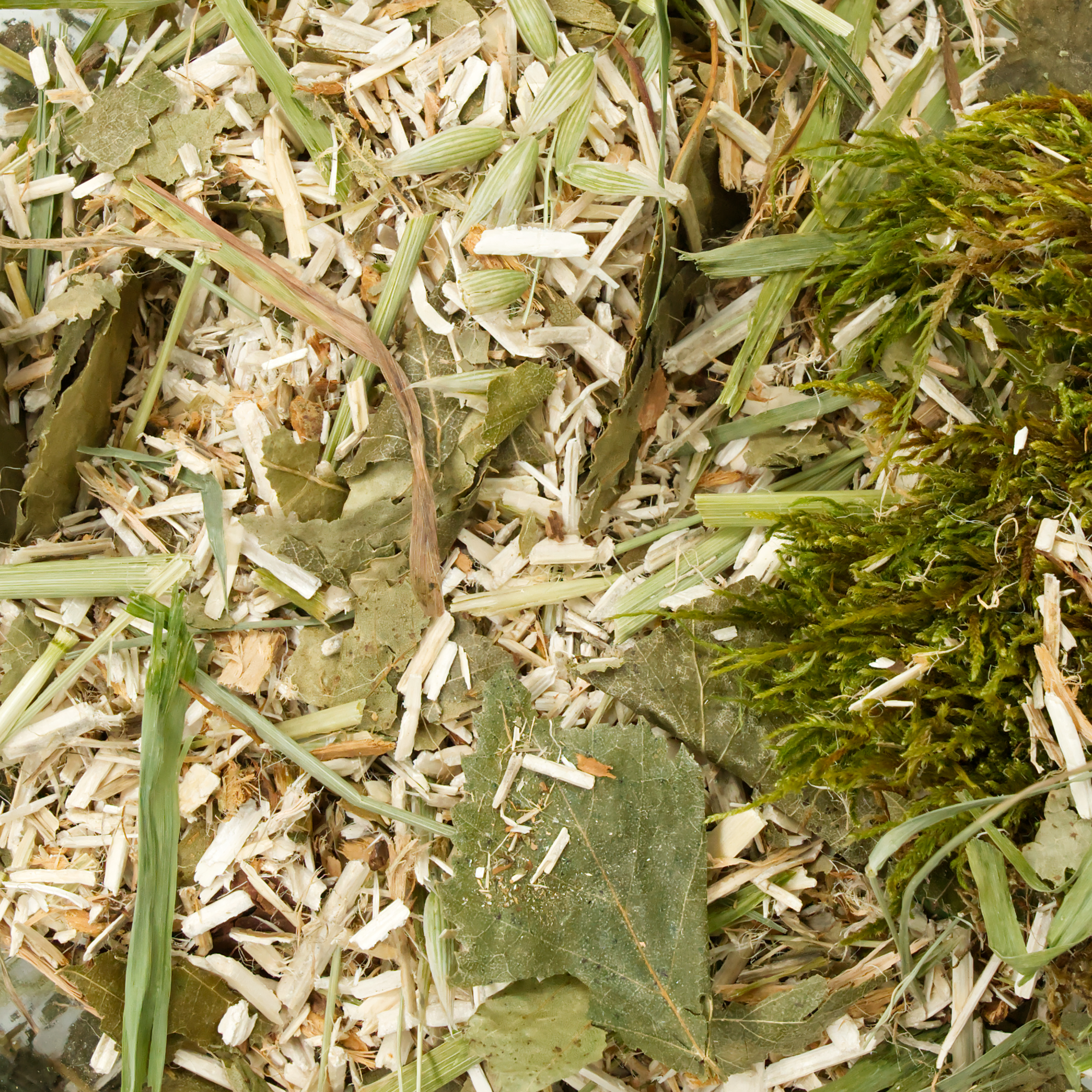 einstreu-delikat-fuer-voegel-und-nager1 Knabberstreu Delikat 400g