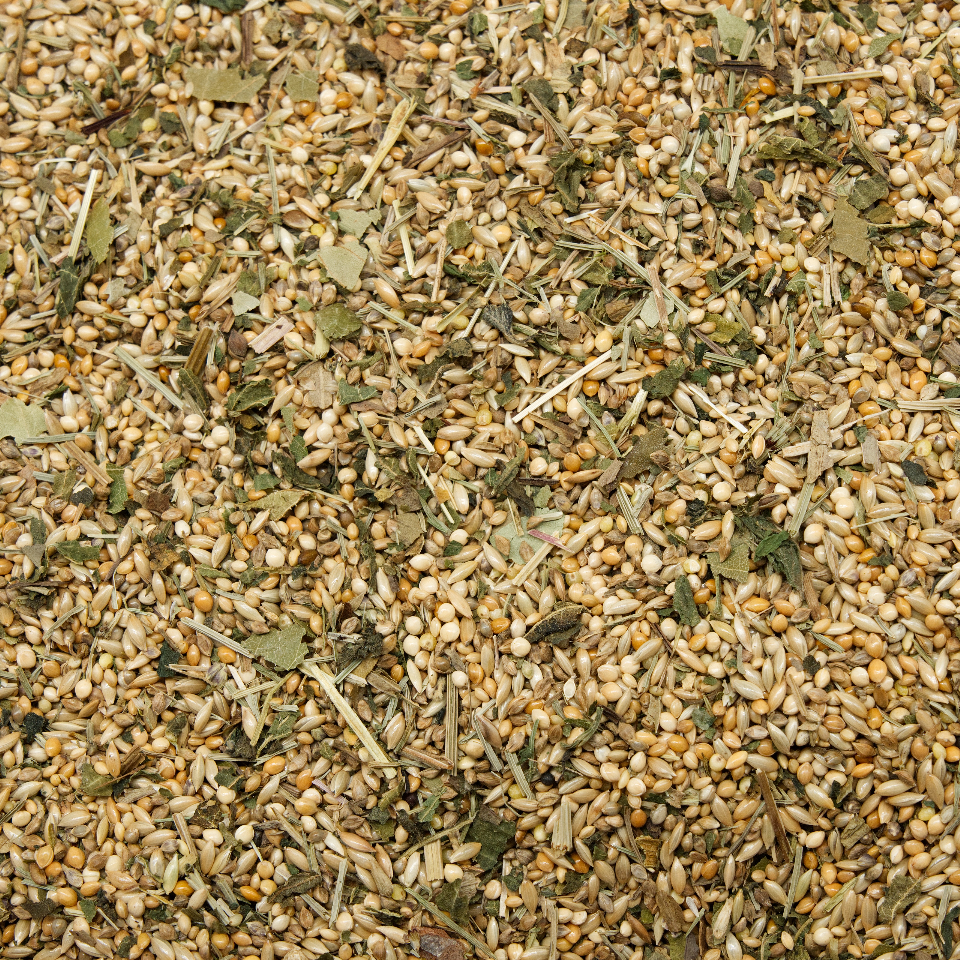 Mischung Gefieder 500g