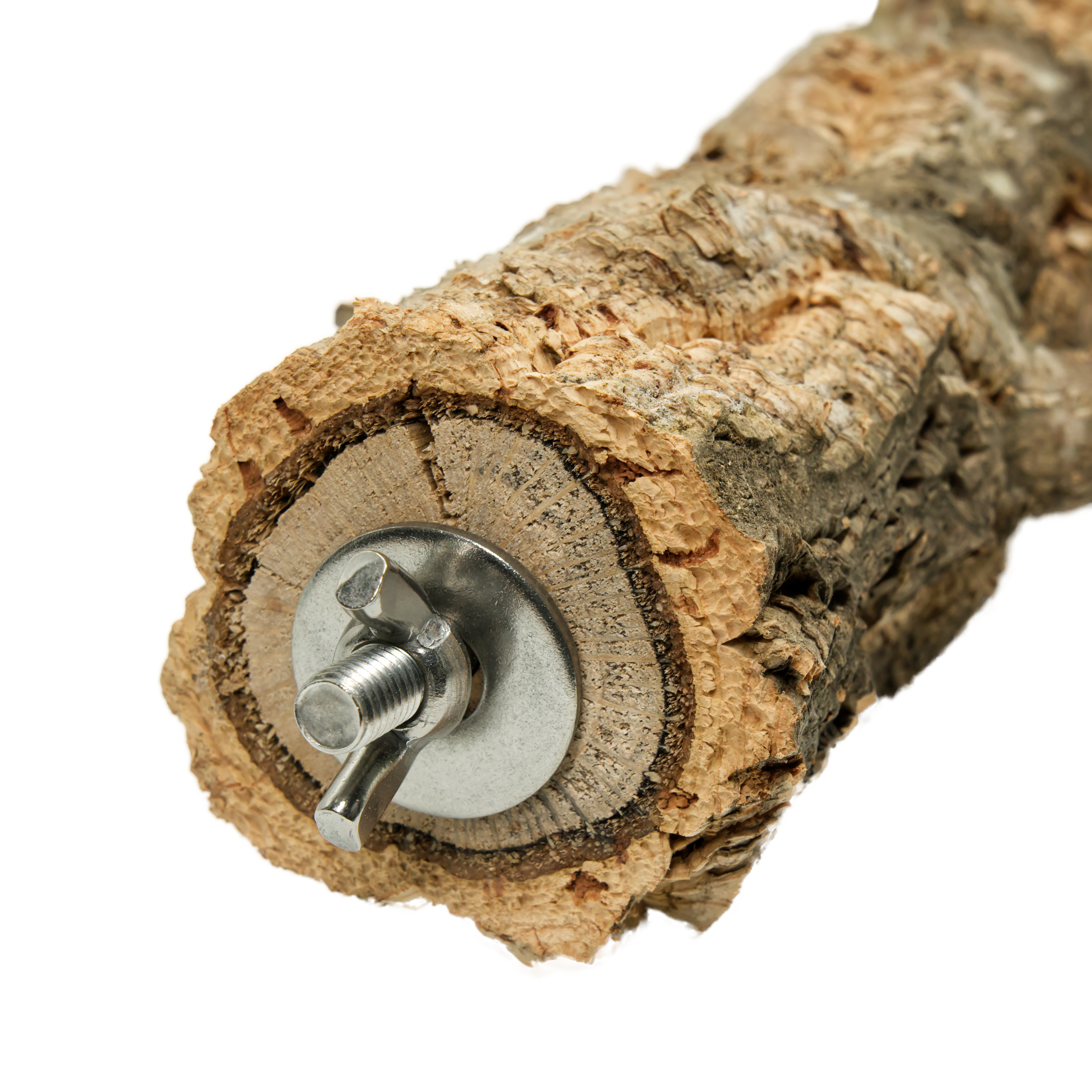 Korkeichen Sitzast mit Edelstahlhalterung 50 cm