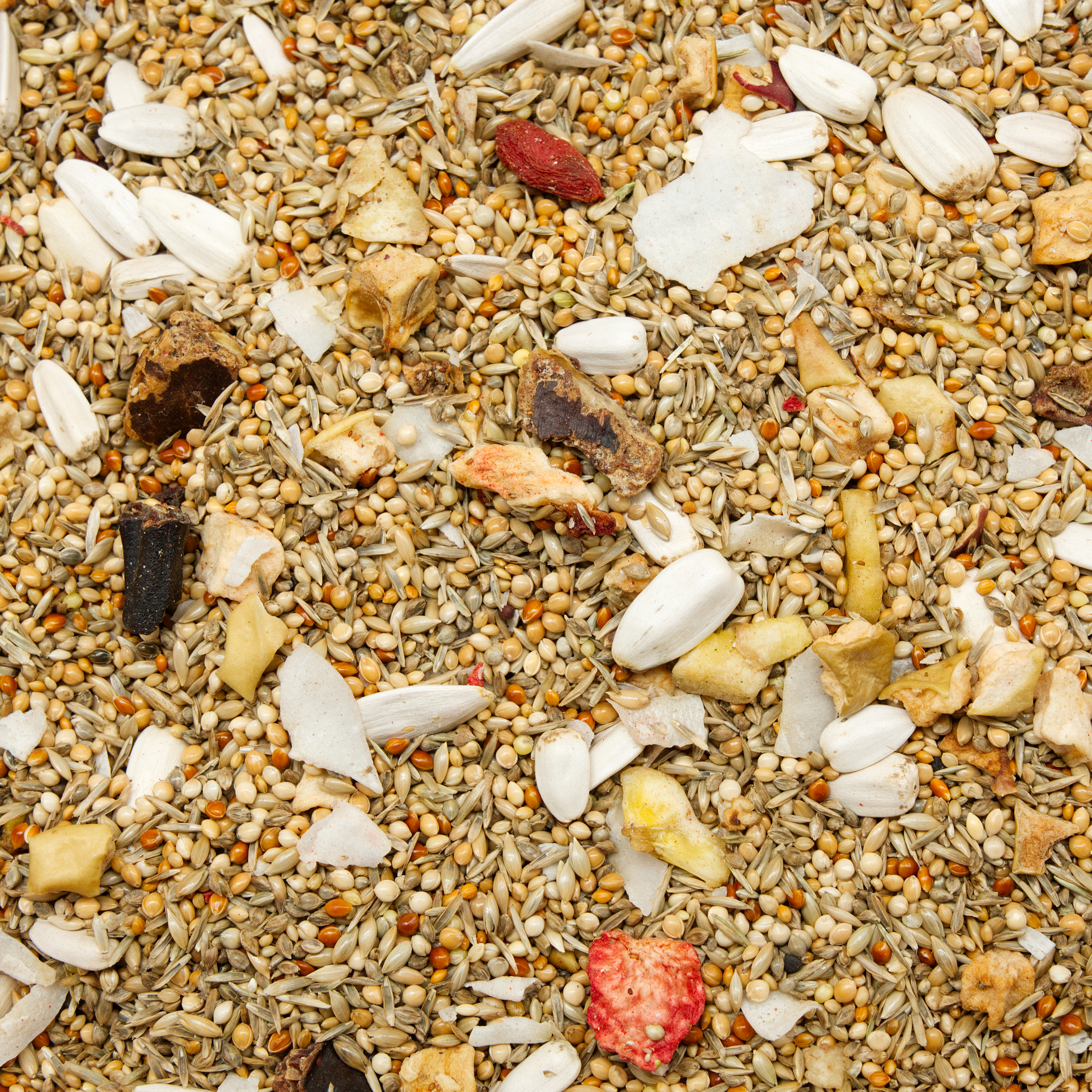 ziegensittichfutter_fruchtmix_koernerbude