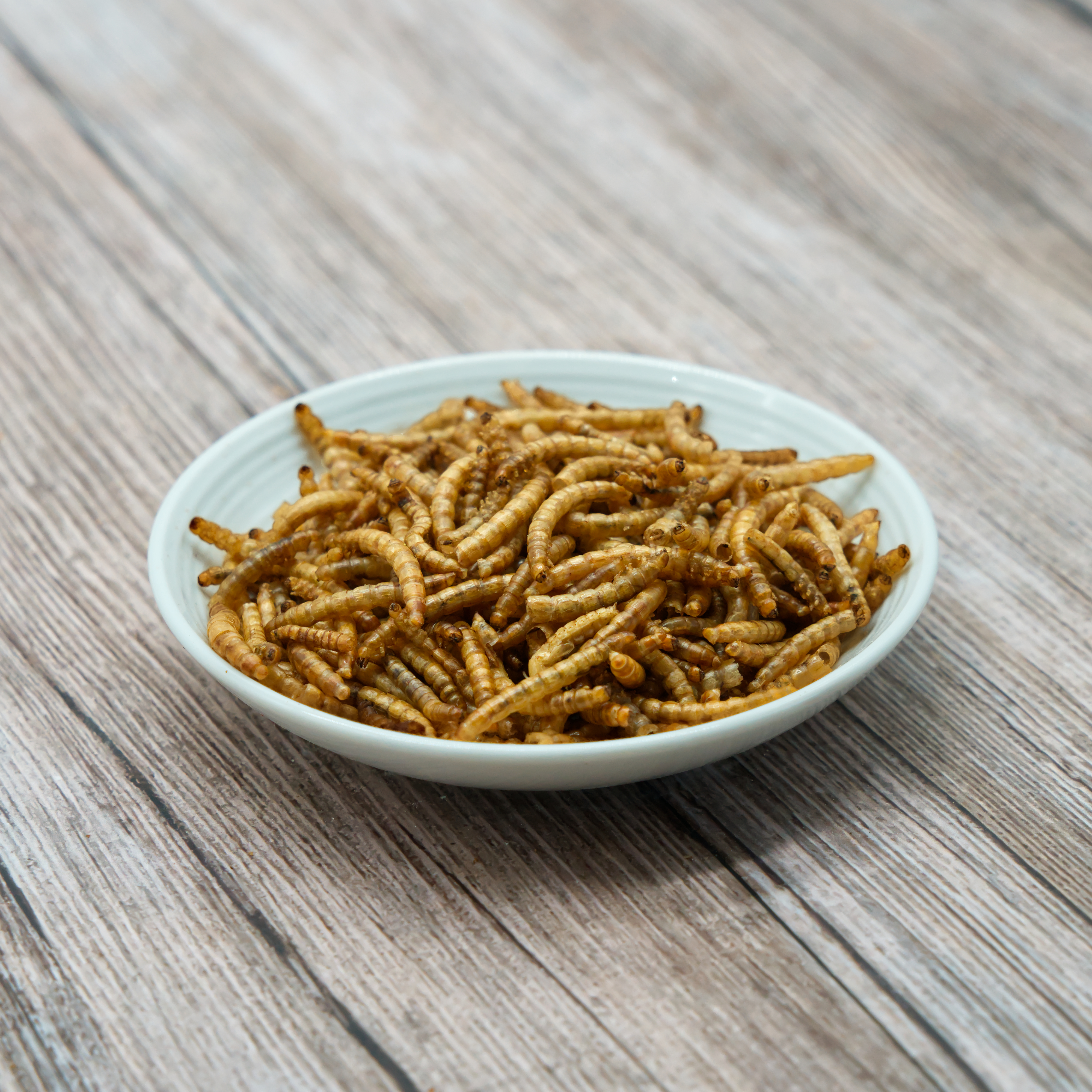 mehlwuermer-einzelfutter-fuer-voegel-koernerbude1 Mehlwürmer, getrocknet