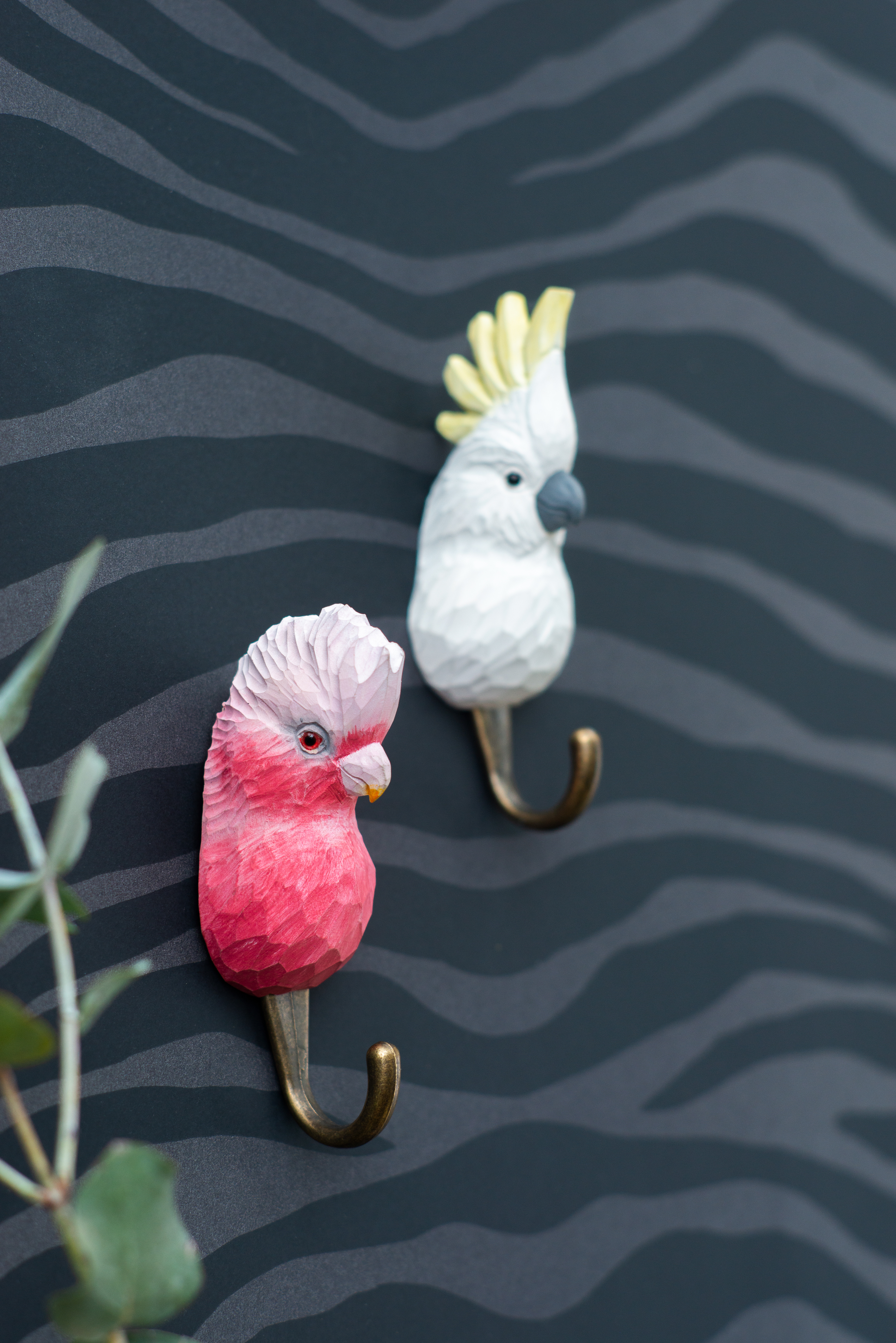 WG4529_4530_Hooks_Cockatoos_1_HighRes