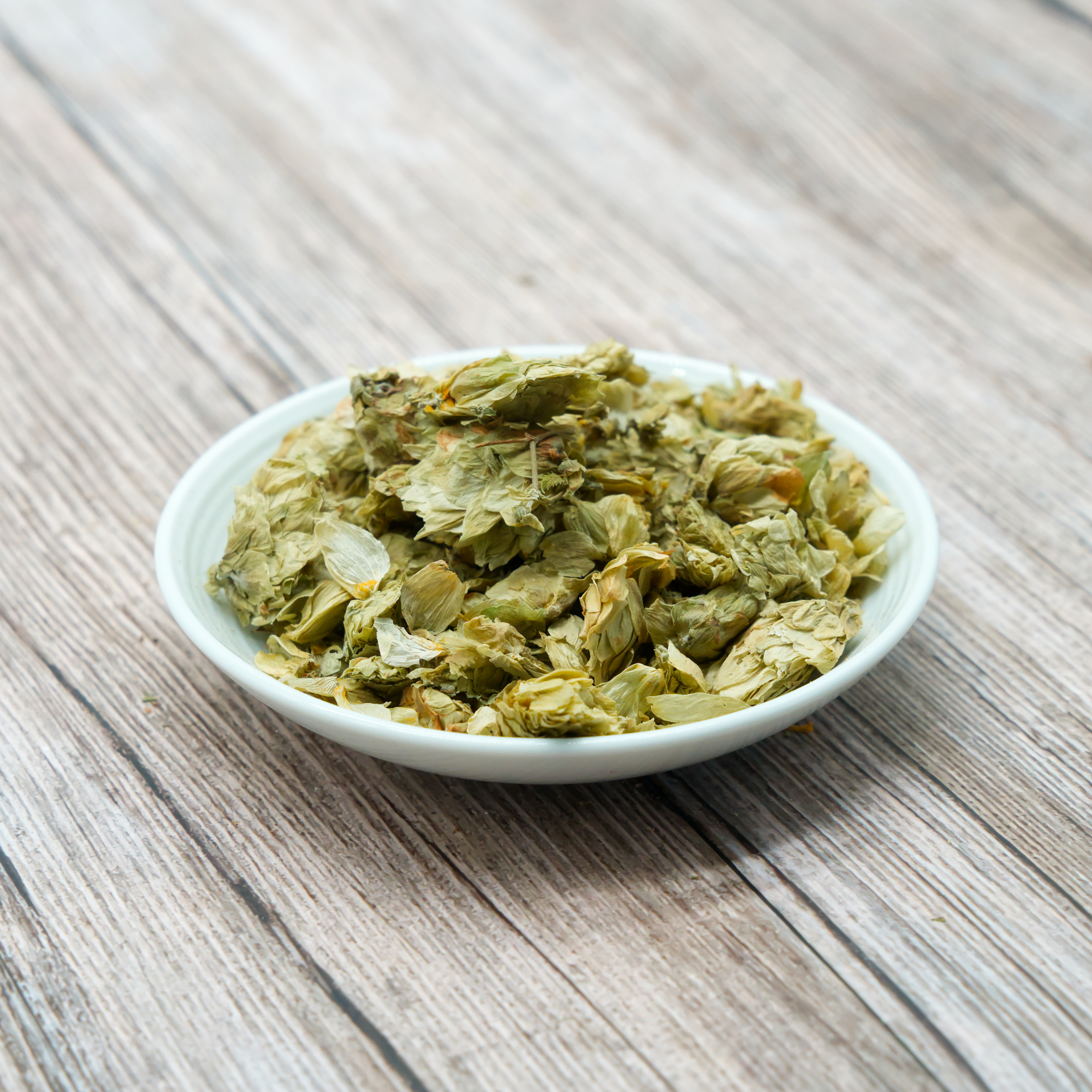 hopfenblueten-einzelfutter-fuer-voegel-koernerbude Hopfenblüten