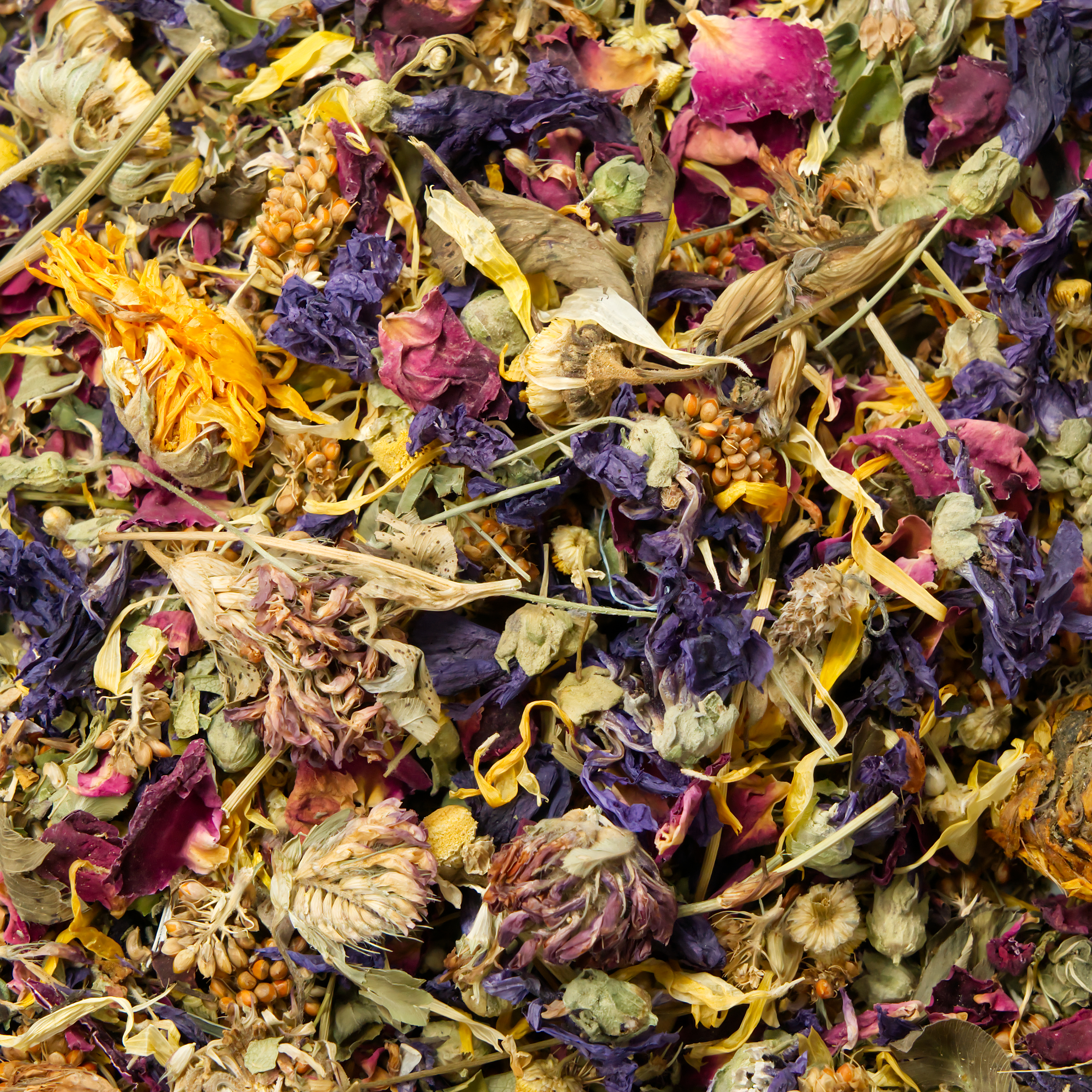 schreddermix_rot_fuer_voegel_koernerbude_wellensittiche