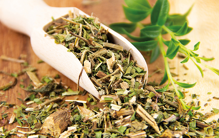 sittich_stark5c52e4c716348 Sittich-Stark, 100g