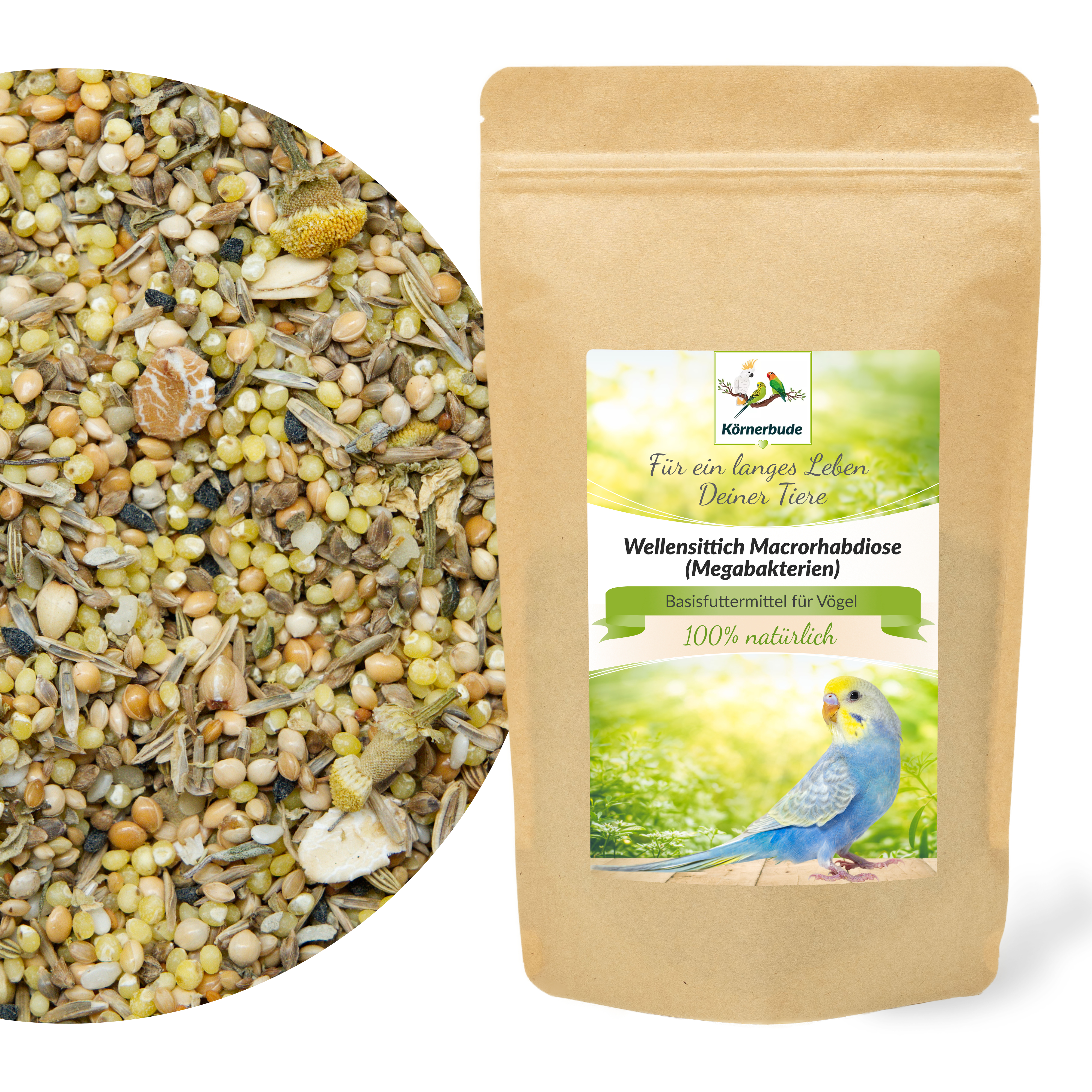 wellensittich_macrorhabdiose_koernerbude_wellensittichfutter Wellensittich Macrorhabdiose (Megabakterien)
