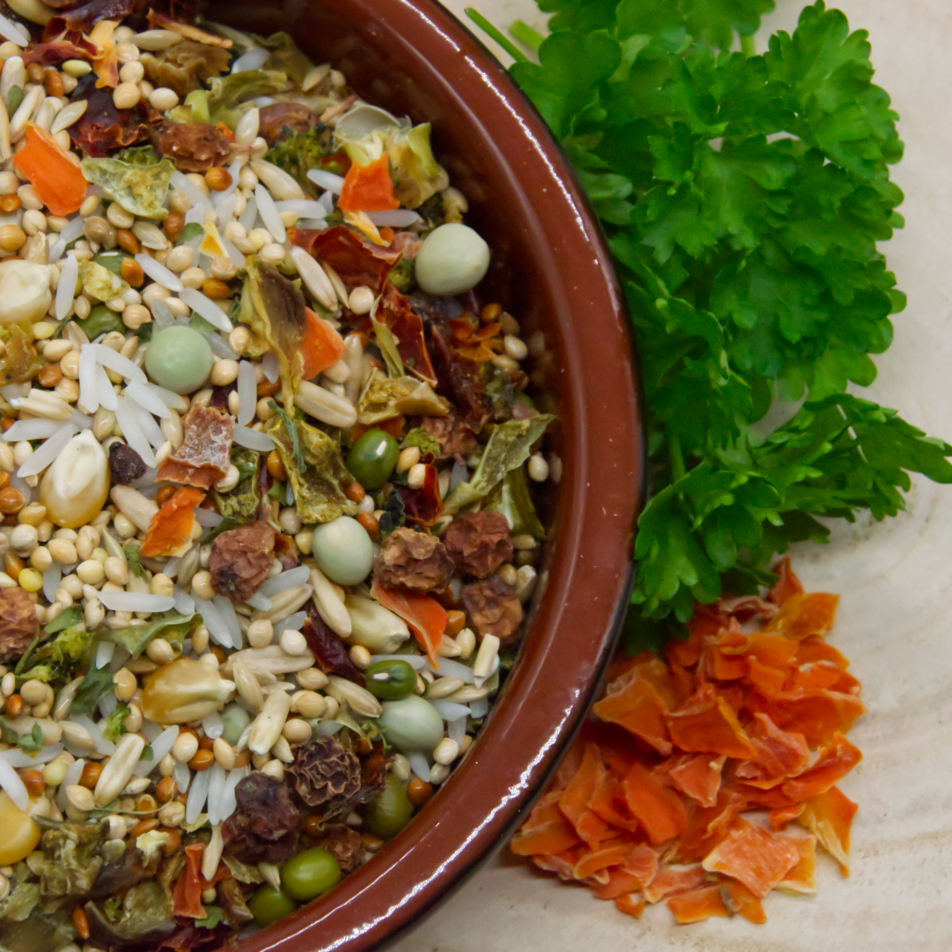 kochfutter_schlemmertopgf