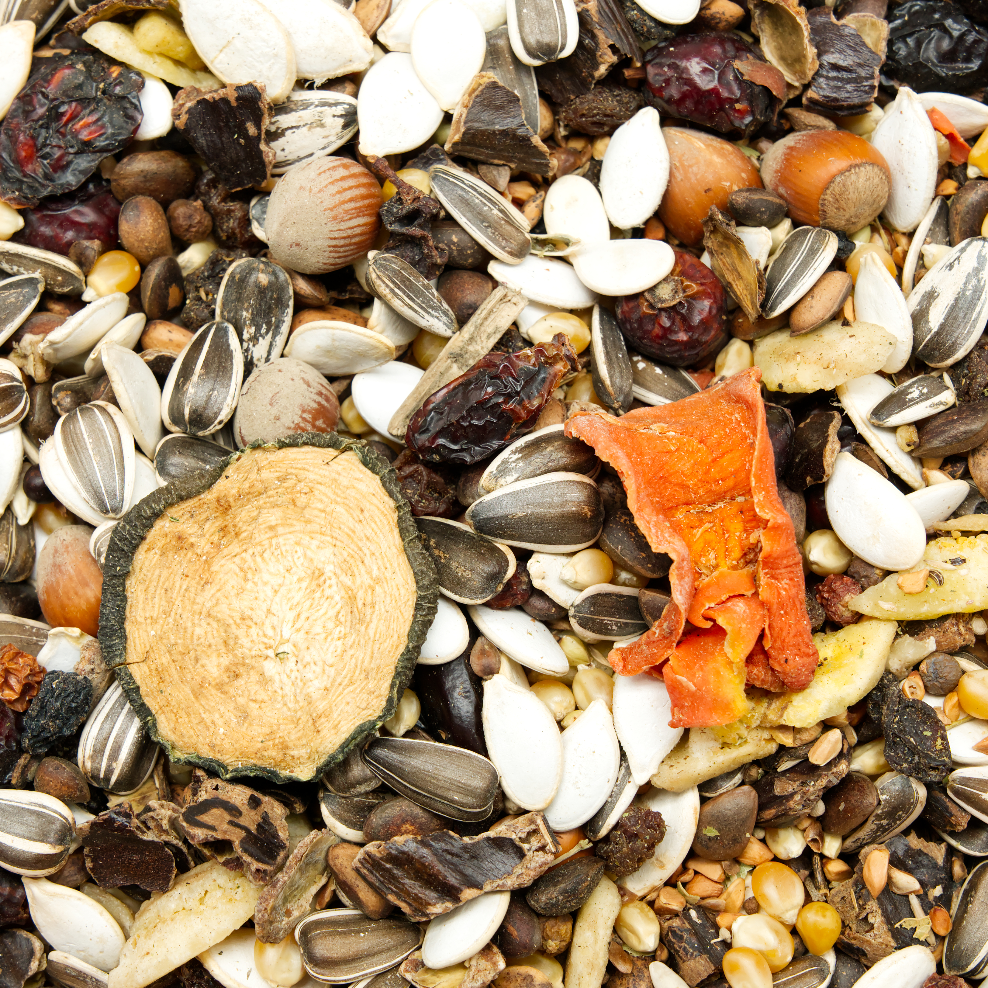 eichh-rnchenmix_mit_eichhoerchenfutter_koernerbude