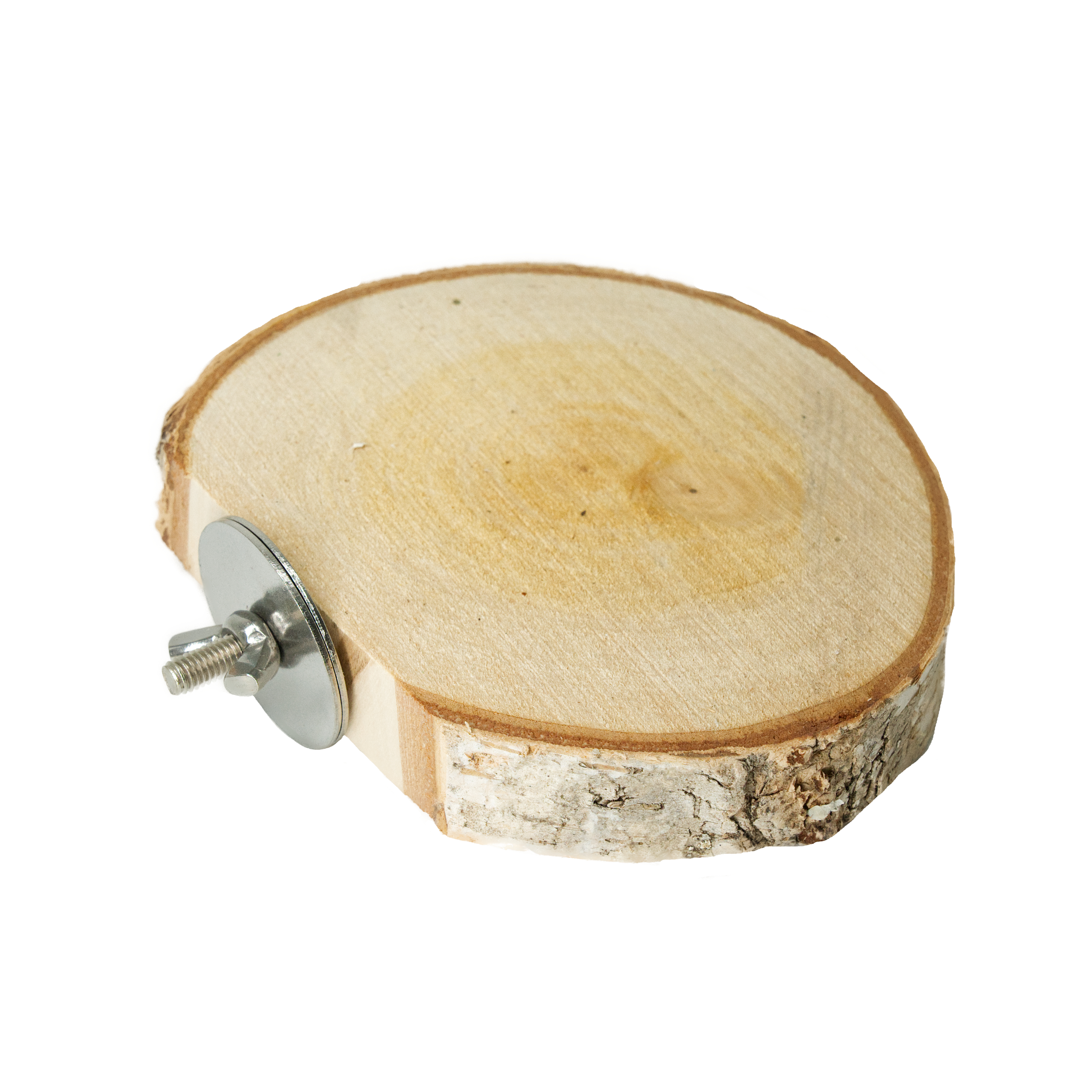 birkenholz_sitzbrett_rund_ca-_12-15cm Birkenholz Sitzbrett rund ca. 12-15cm