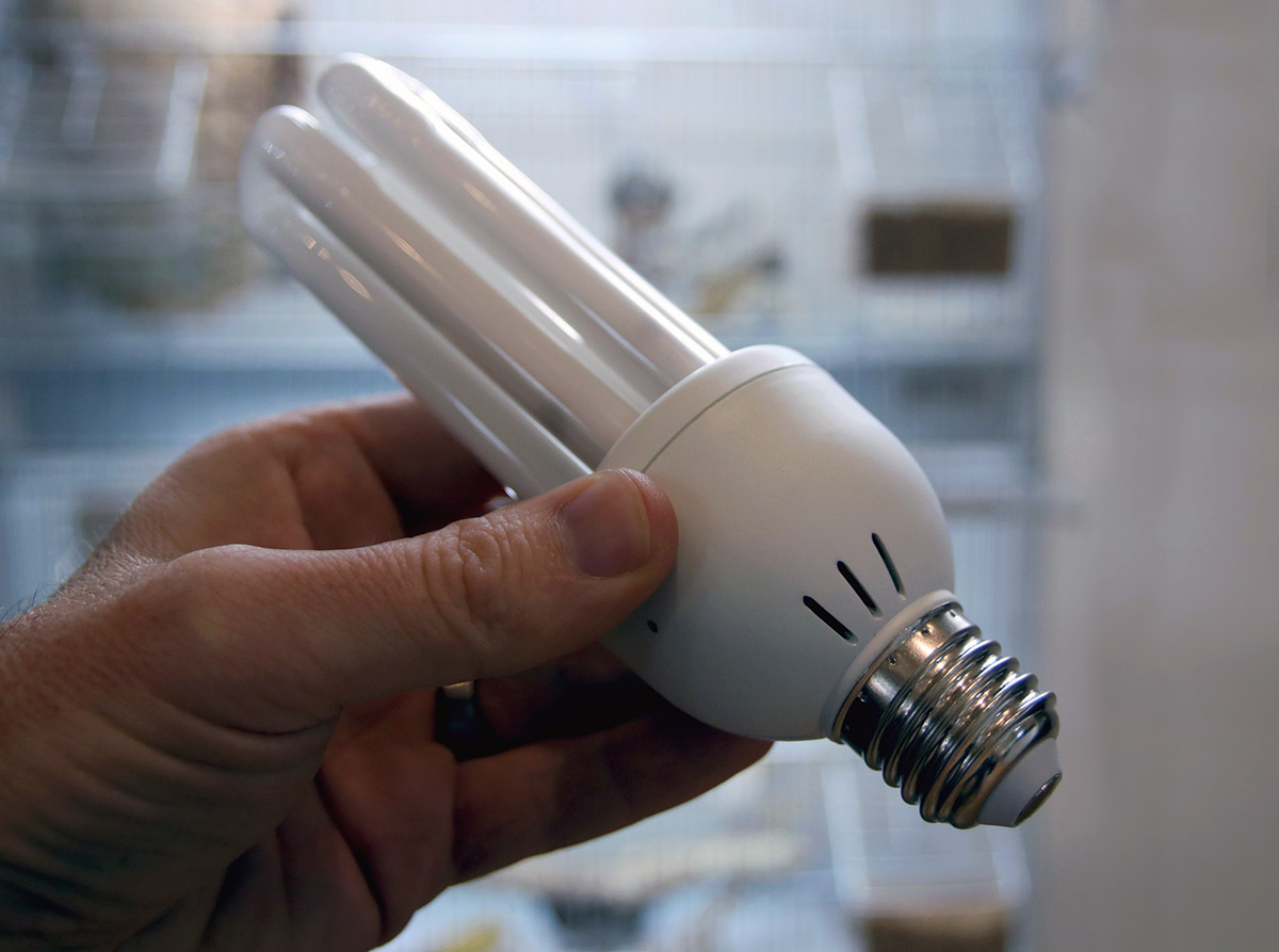 bird_compact_lamp-e27-1