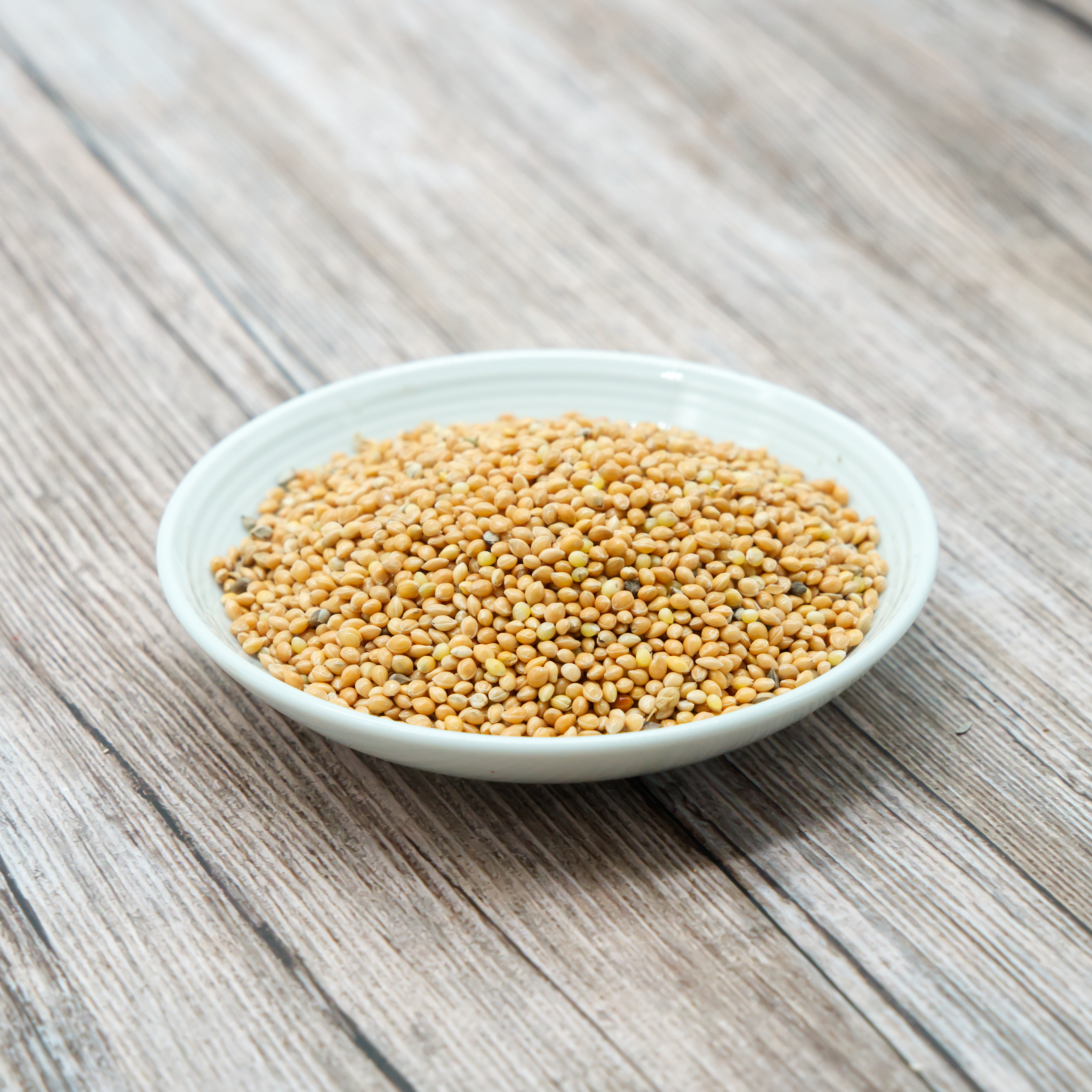 plata-hirse-einzelfutter-fuer-v-gel-koernerbude La Plata Hirse