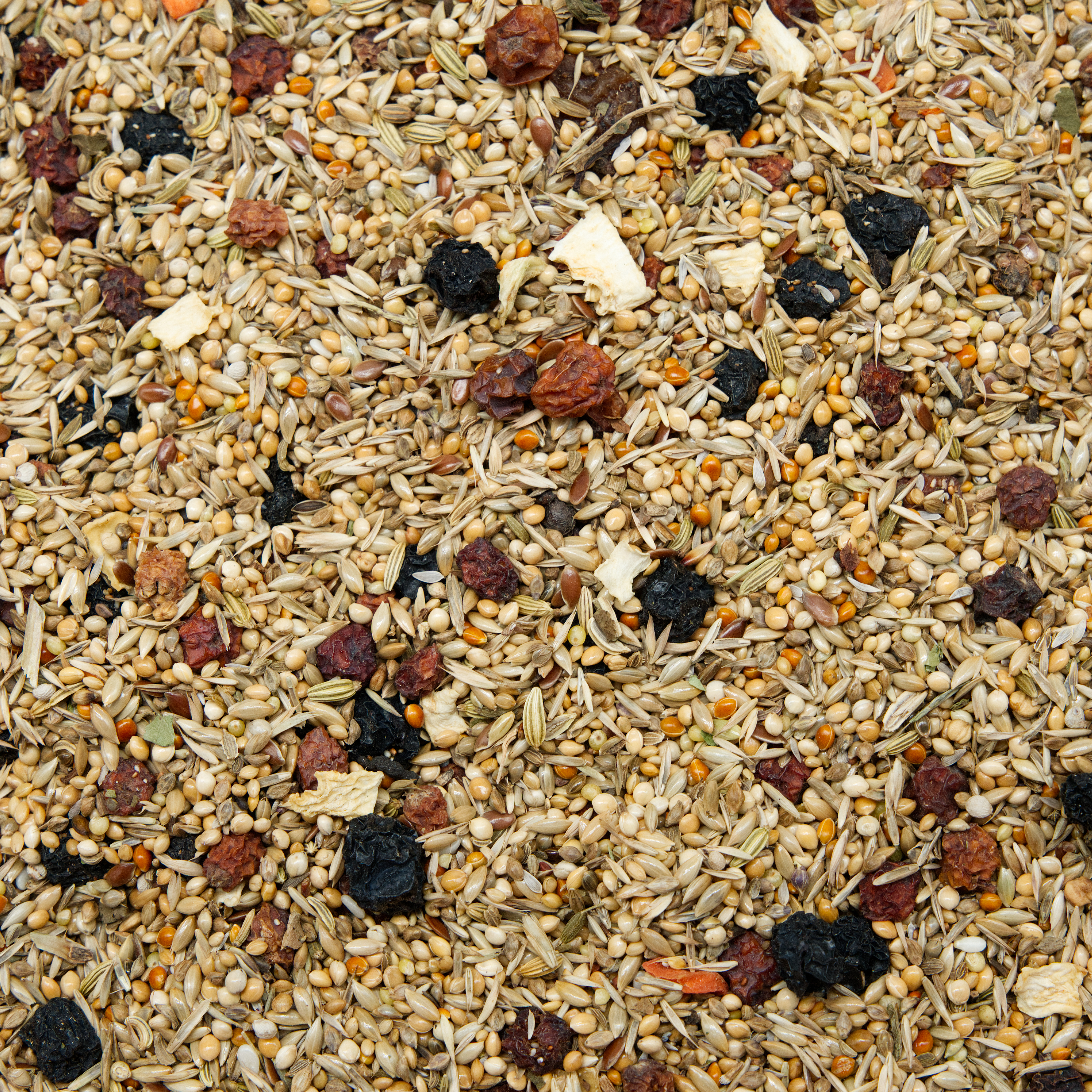 sperlingspapageien_beerenmix_sperlingspapageienfutter_koernerbude