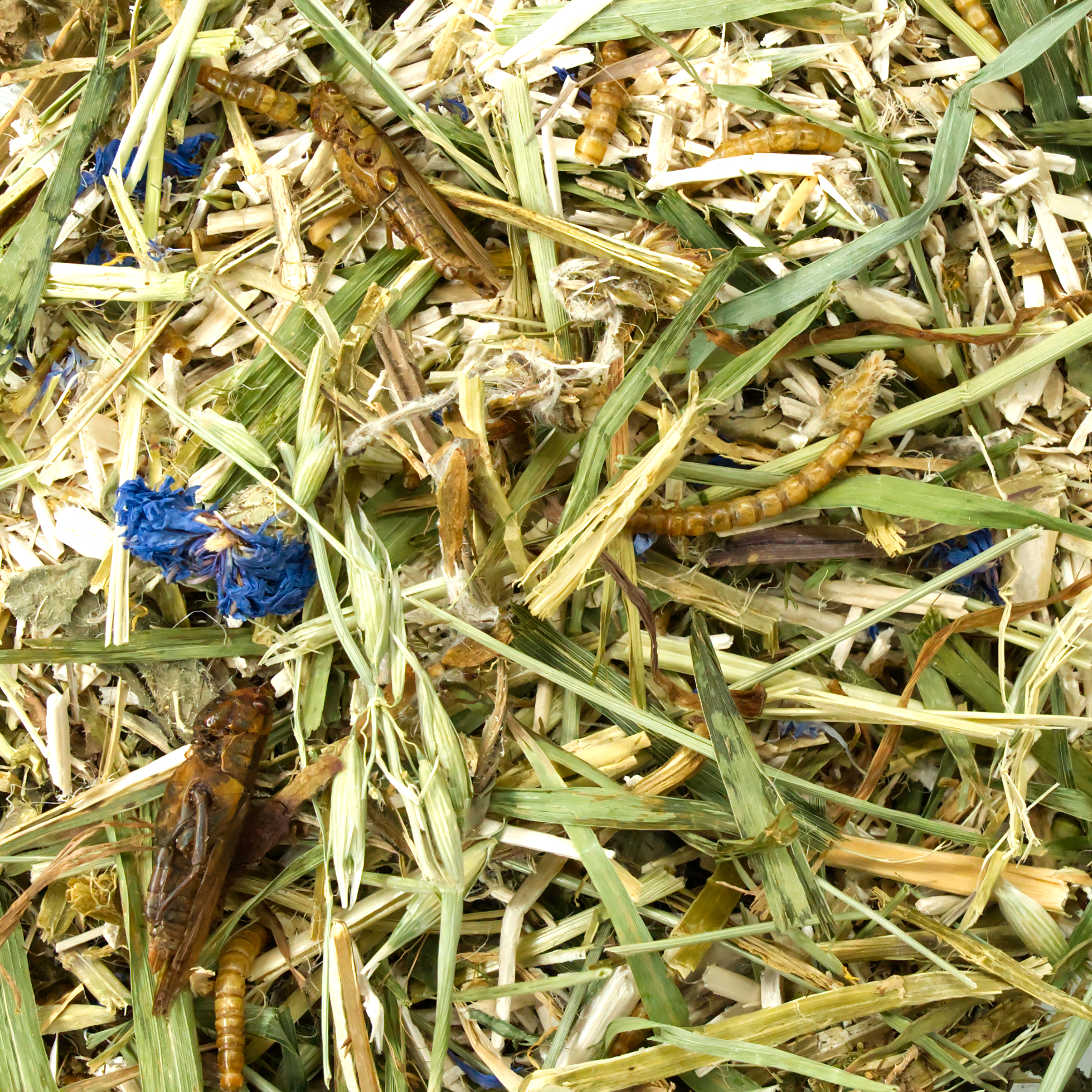 einstreu-protein-mix-fuer-voegel-und-nager1 Knabberstreu Protein Mix 400g