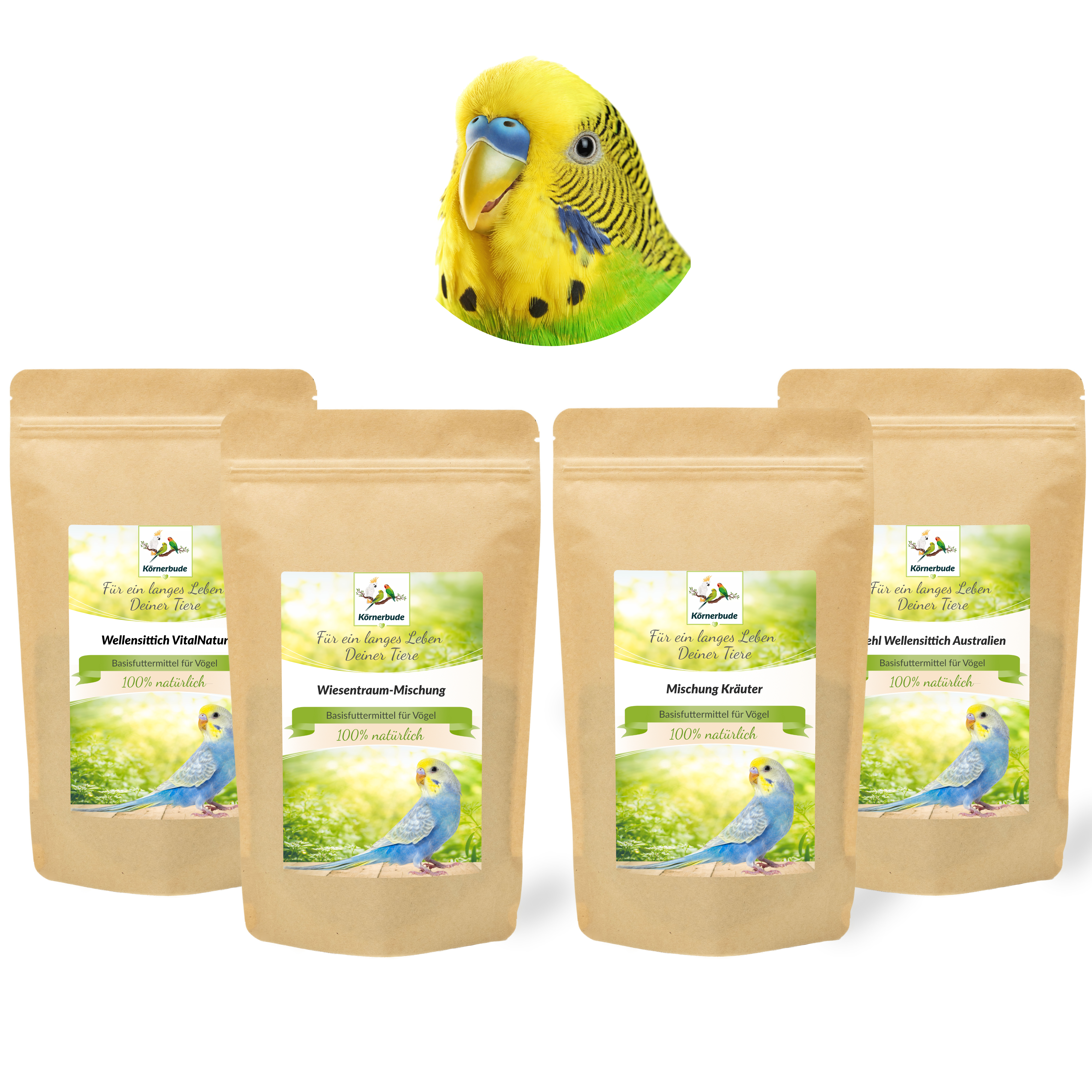 wellensittichfutter_schnupper_menue_1_koernerbude9l7ysIA720pSZ Schnupper-Menü Wellensittiche Innenhaltung