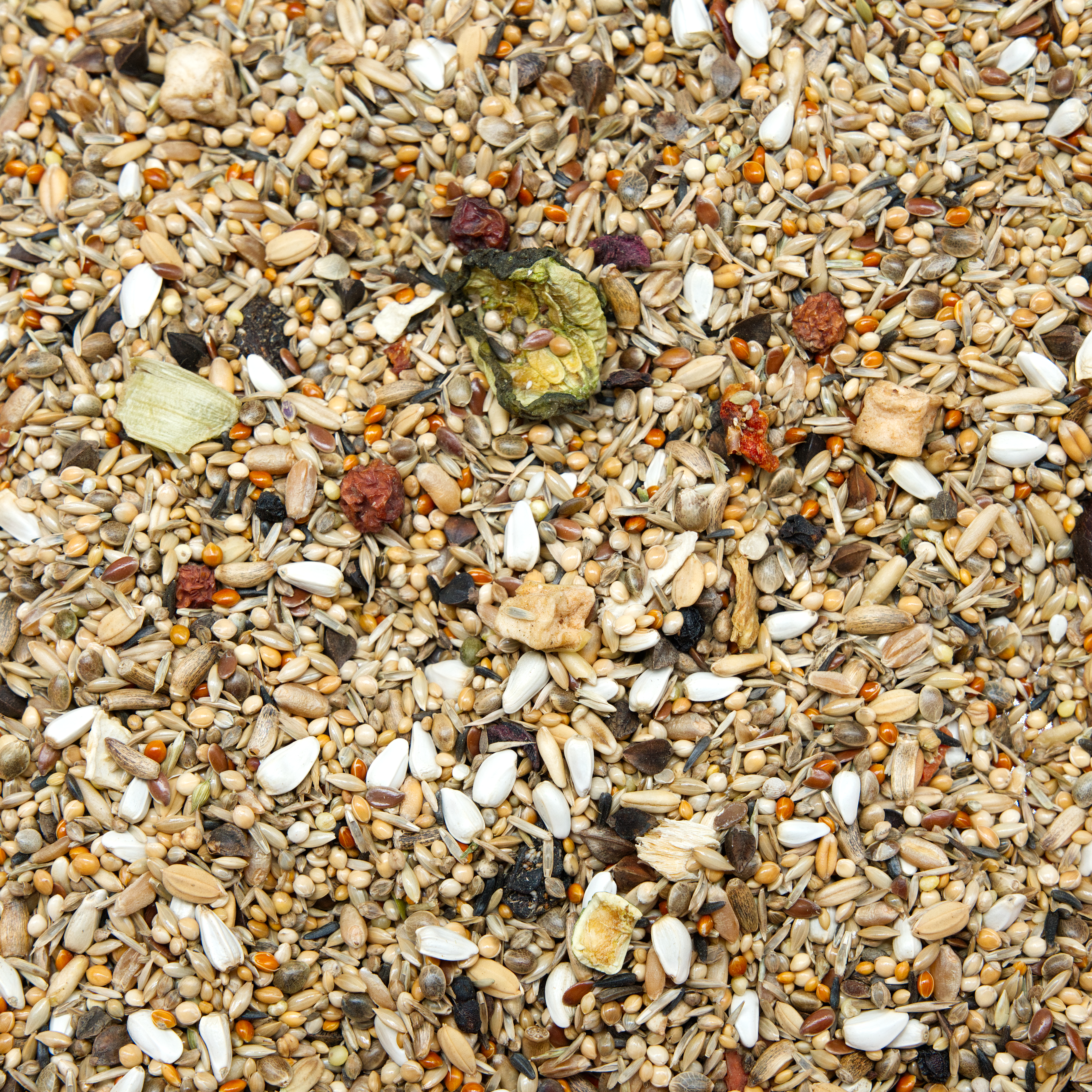 agapornidenfutter_neophemafutter_koernerbude