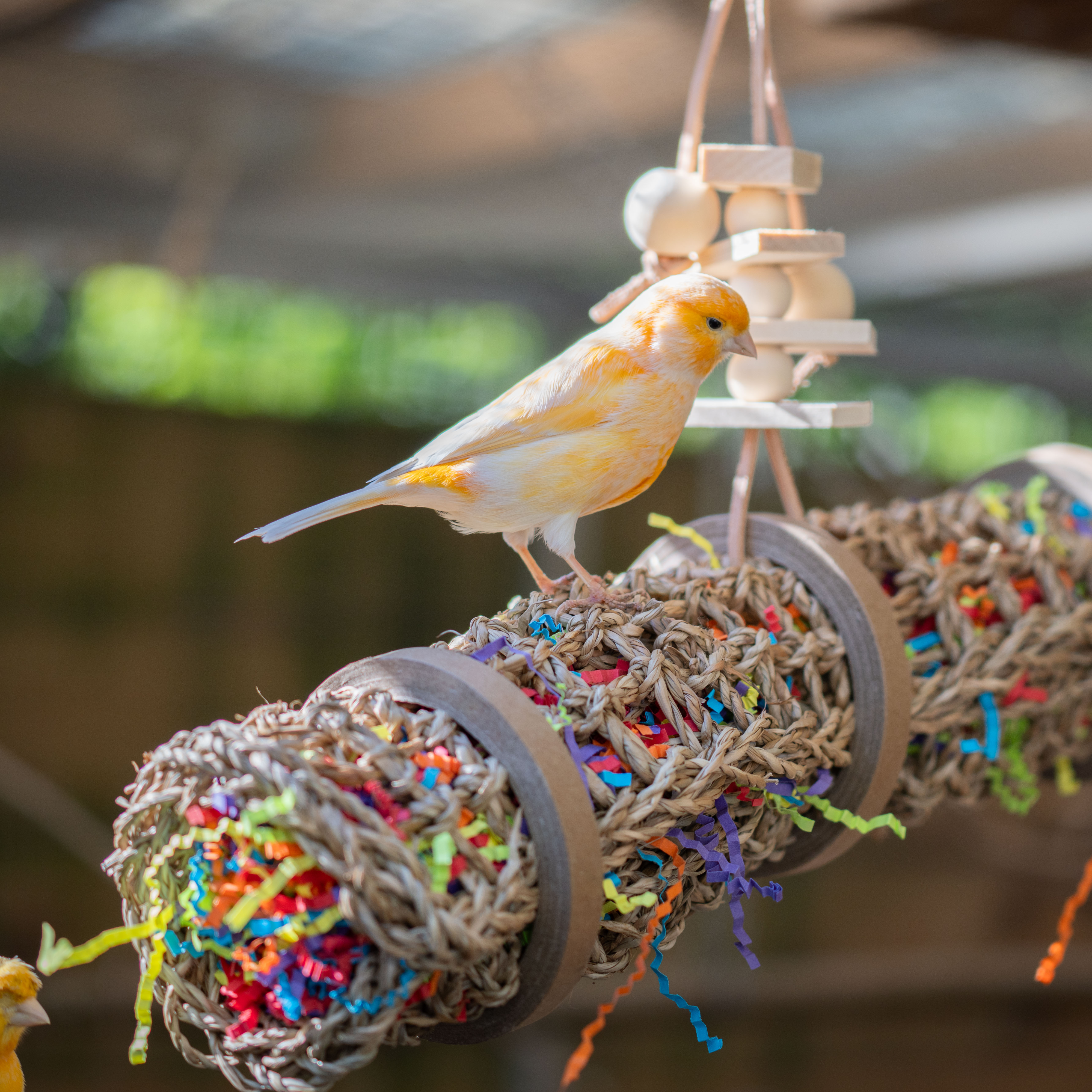 Seegrasspielzeug-vogelspielzeug-schredderspielzeug-fuer-voegel