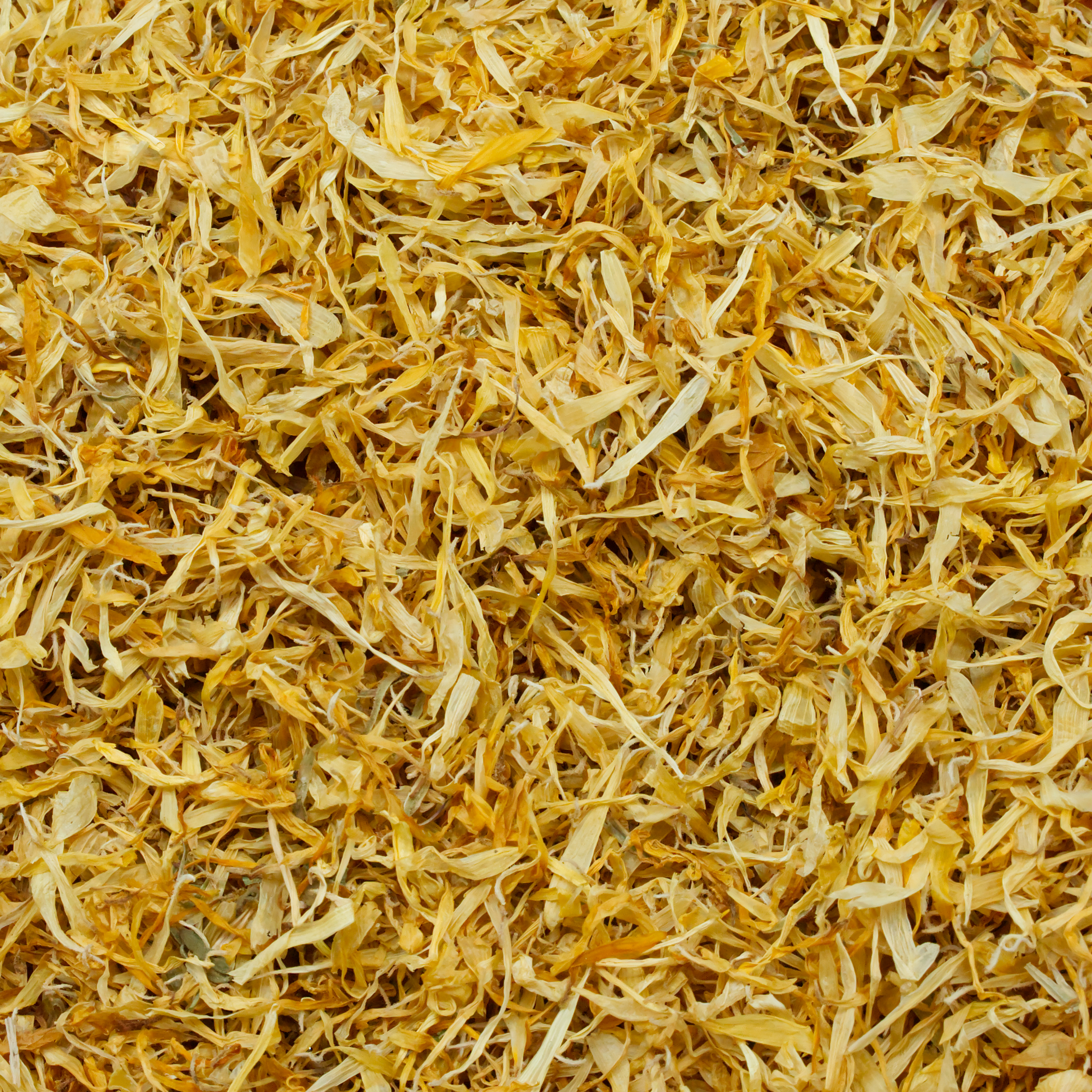 Ringelblumenblütenblätter