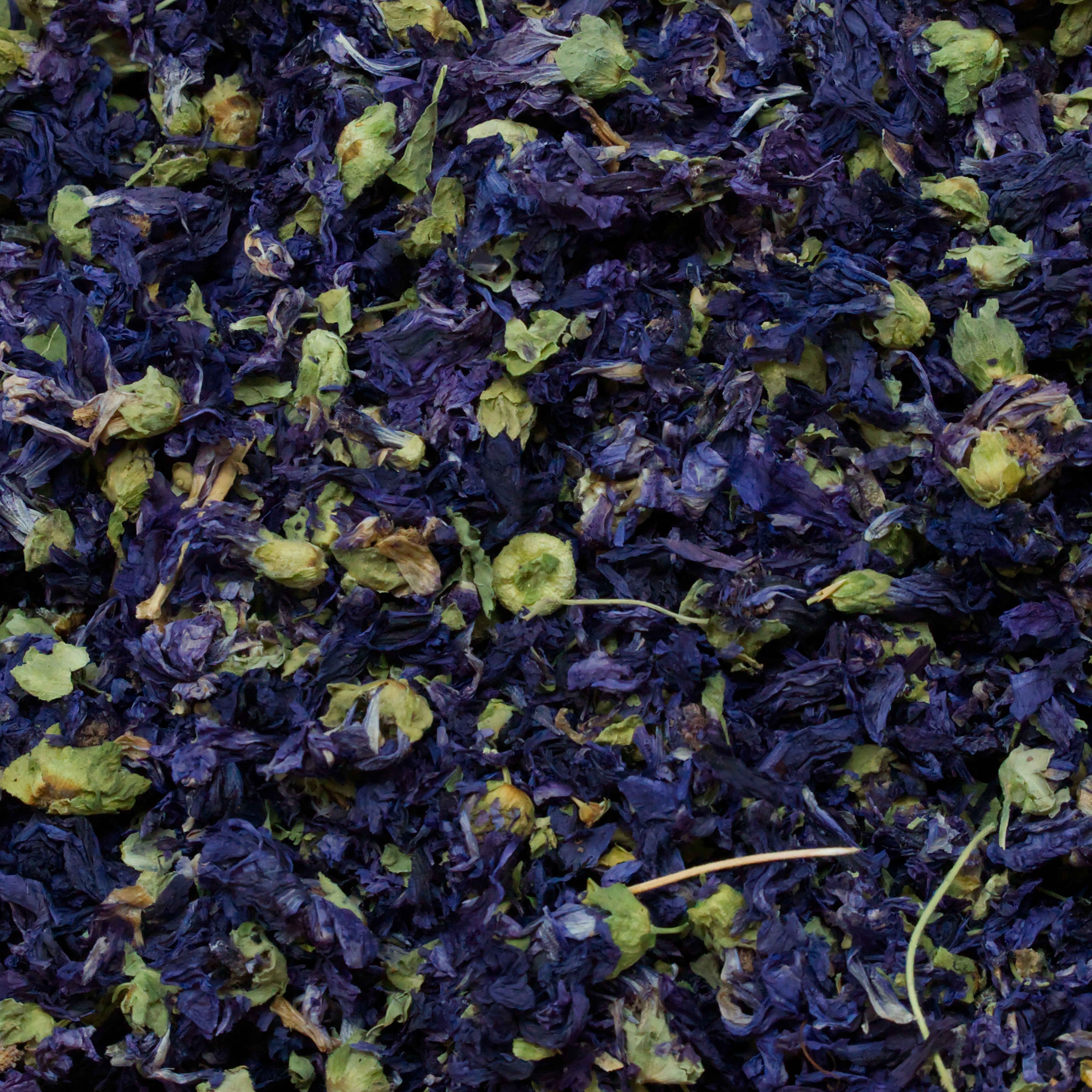 malvenblueten-einzelfutter-fuer-voegel-koernerbude1