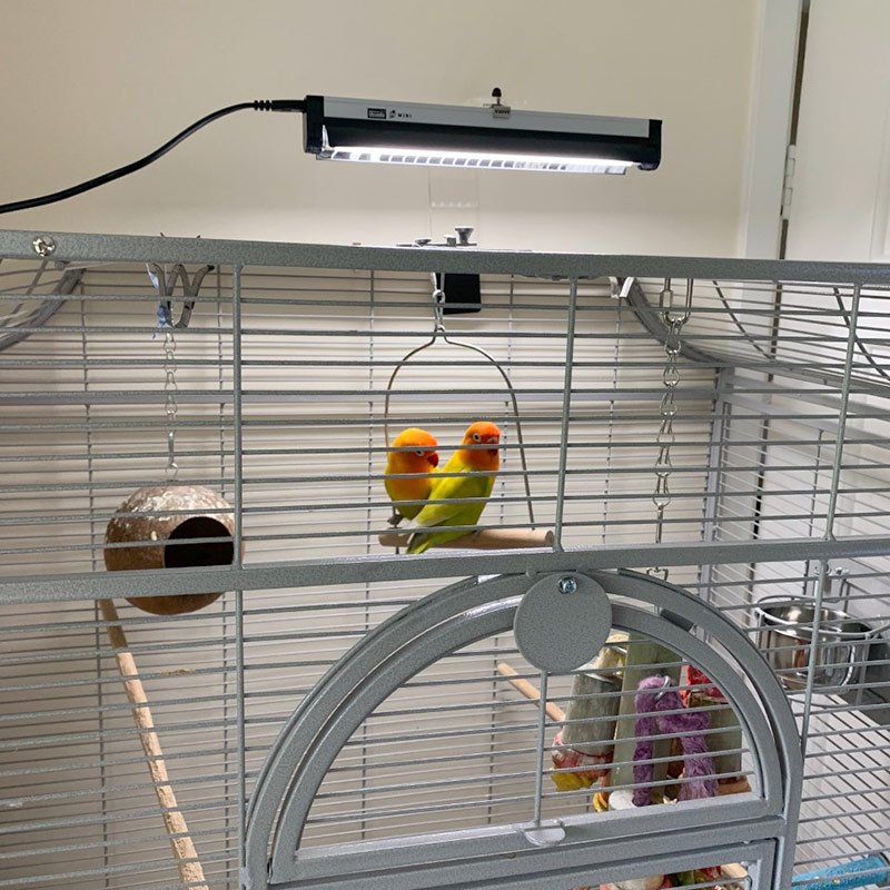 psm-tilly-ted_image003