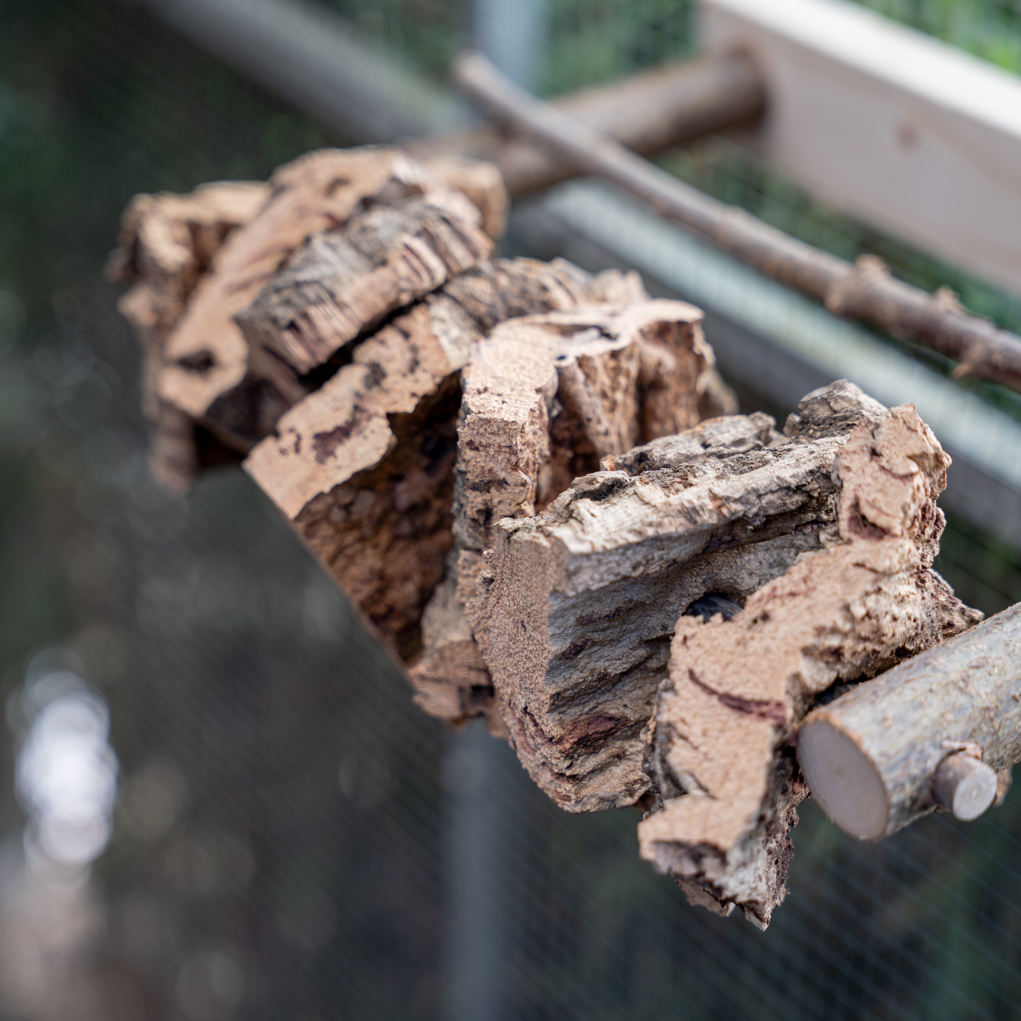 A7309322ohwgVOpfGOXby