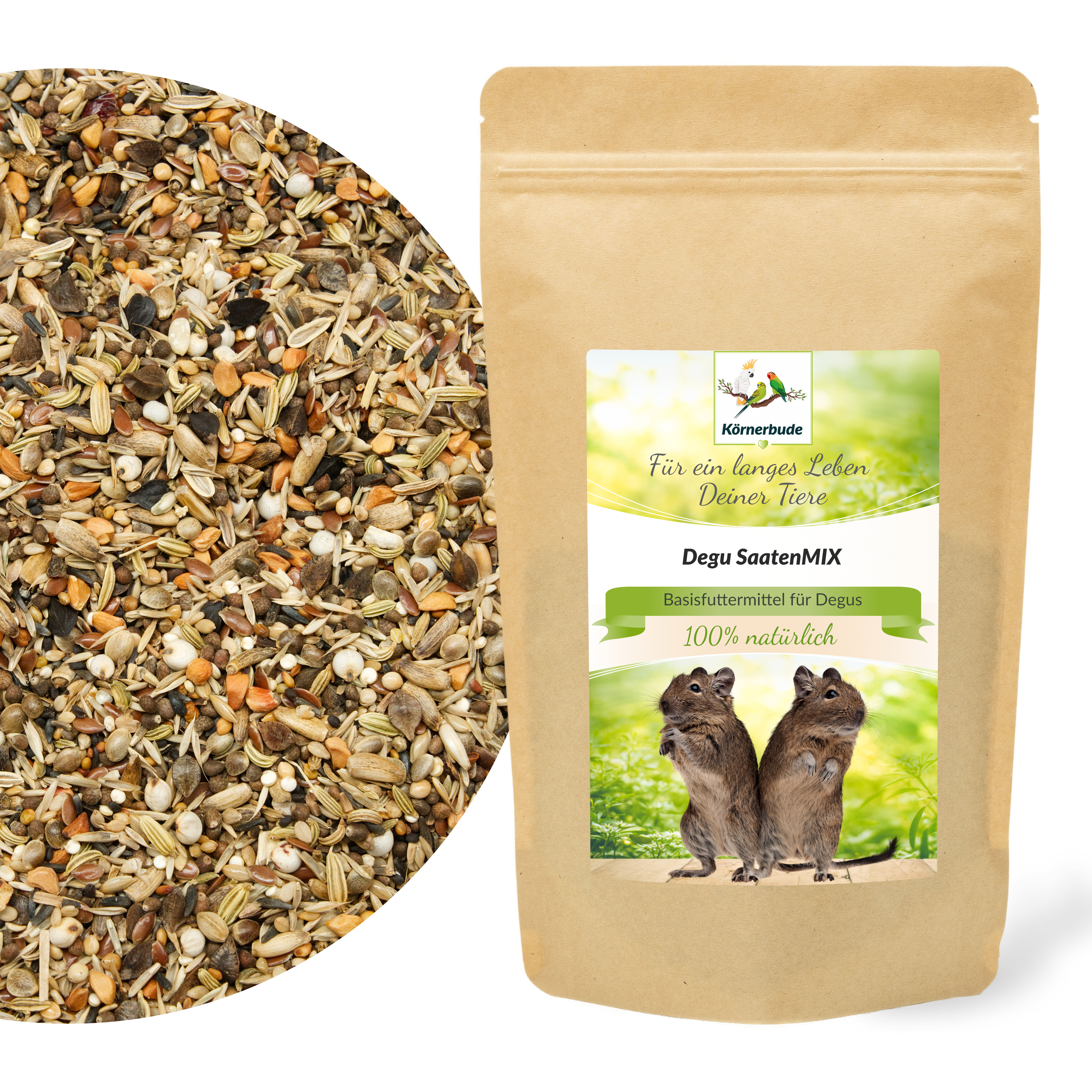 degu_saatenmix_saaten_fuer_degus_koernerbudegsMBOW5mKBQ0X Degu SaatenMIX