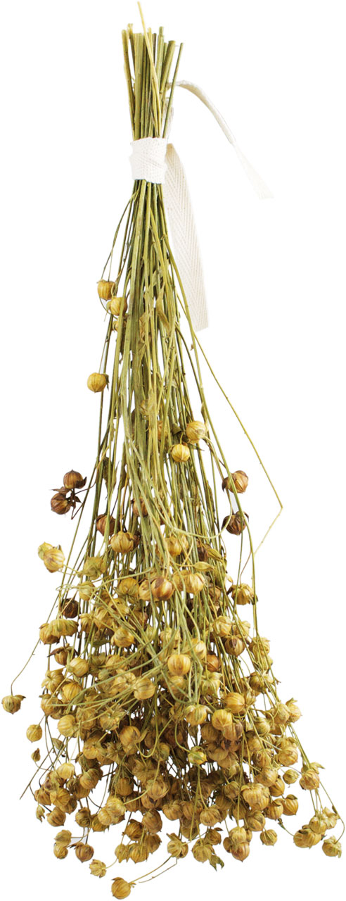 13362_2uVcfmr7RYrr4M JR Birds Leinsaat Flachs 30 g