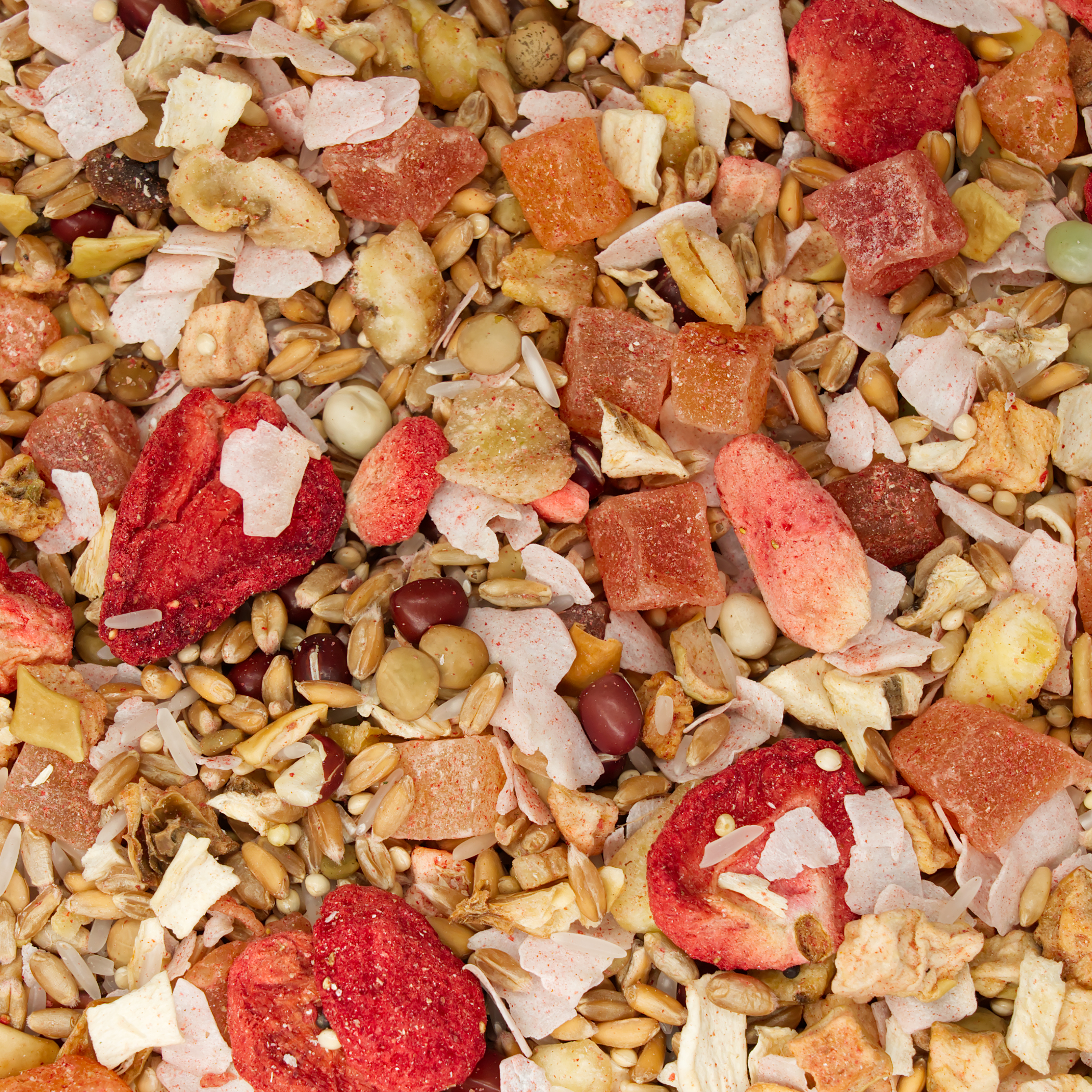 schlemmer_menue_2_fuer_papageien_koernerbude