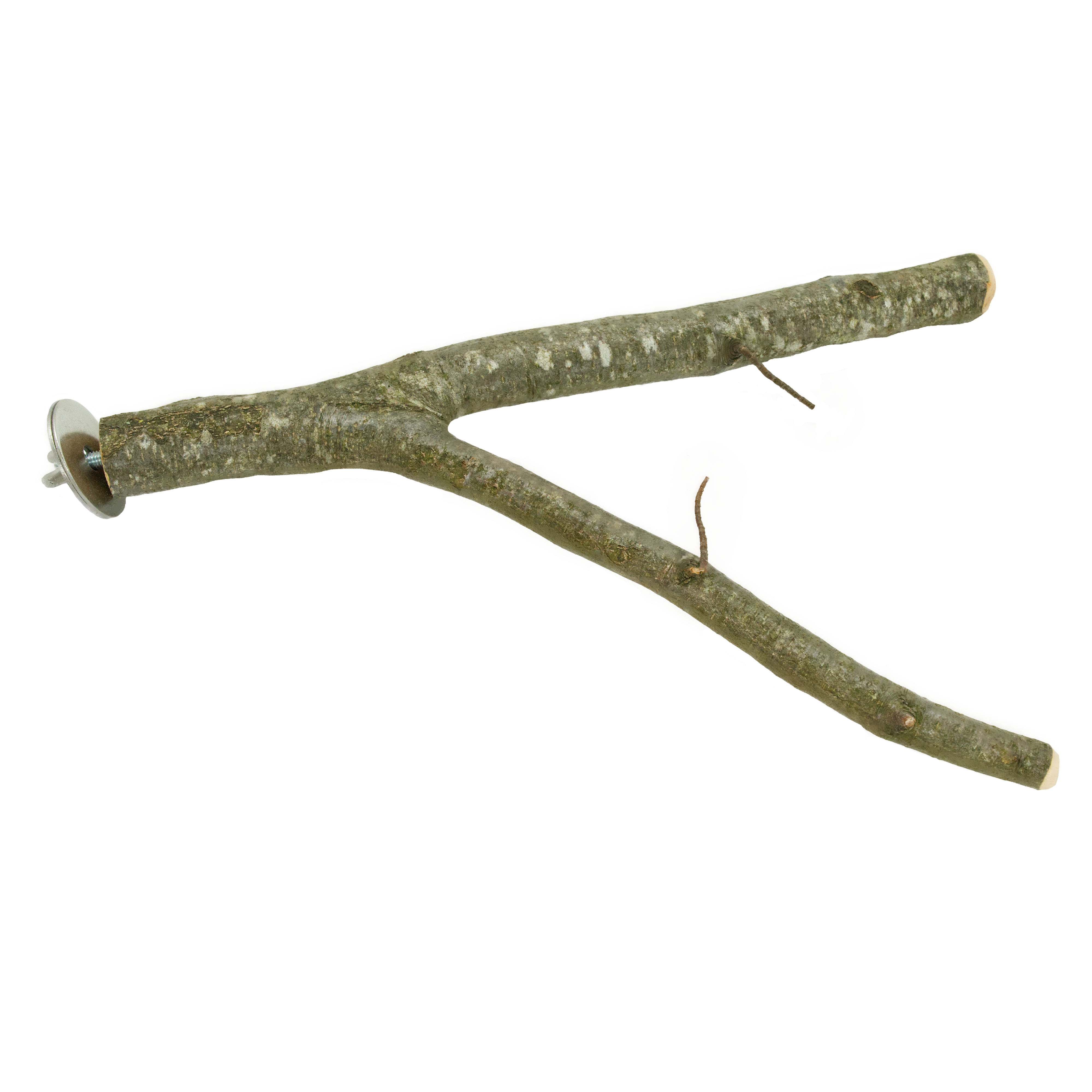 Sittich-Naturholzsitzstange-verzweigt-mit-Befestigungsschraube-20-cm-30cm Sittich Naturholzsitzstange verzweigt mit Befestigungsschraube 20 cm/ 30 cm