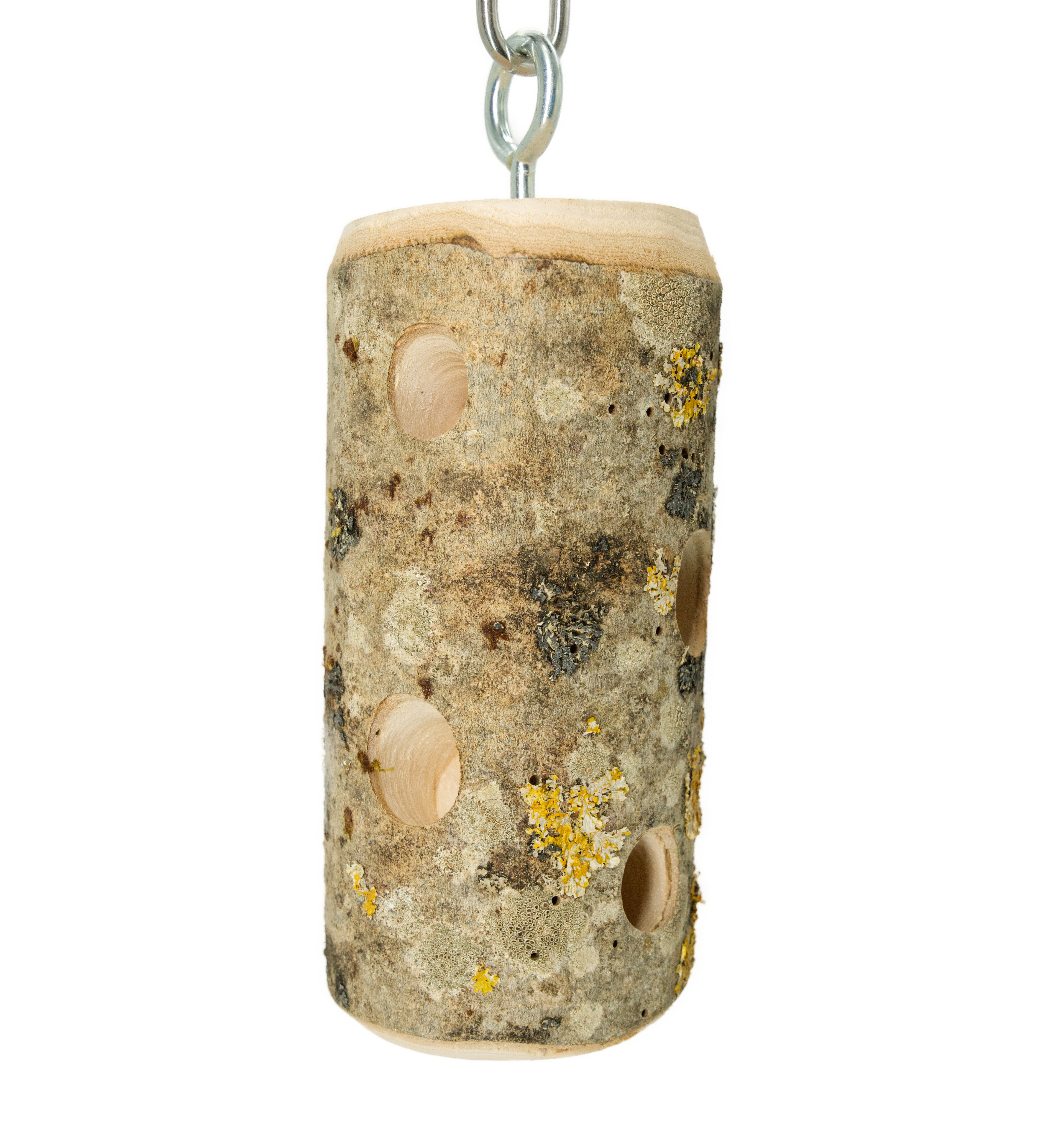 Foraging Stamm Rolle für Papageien