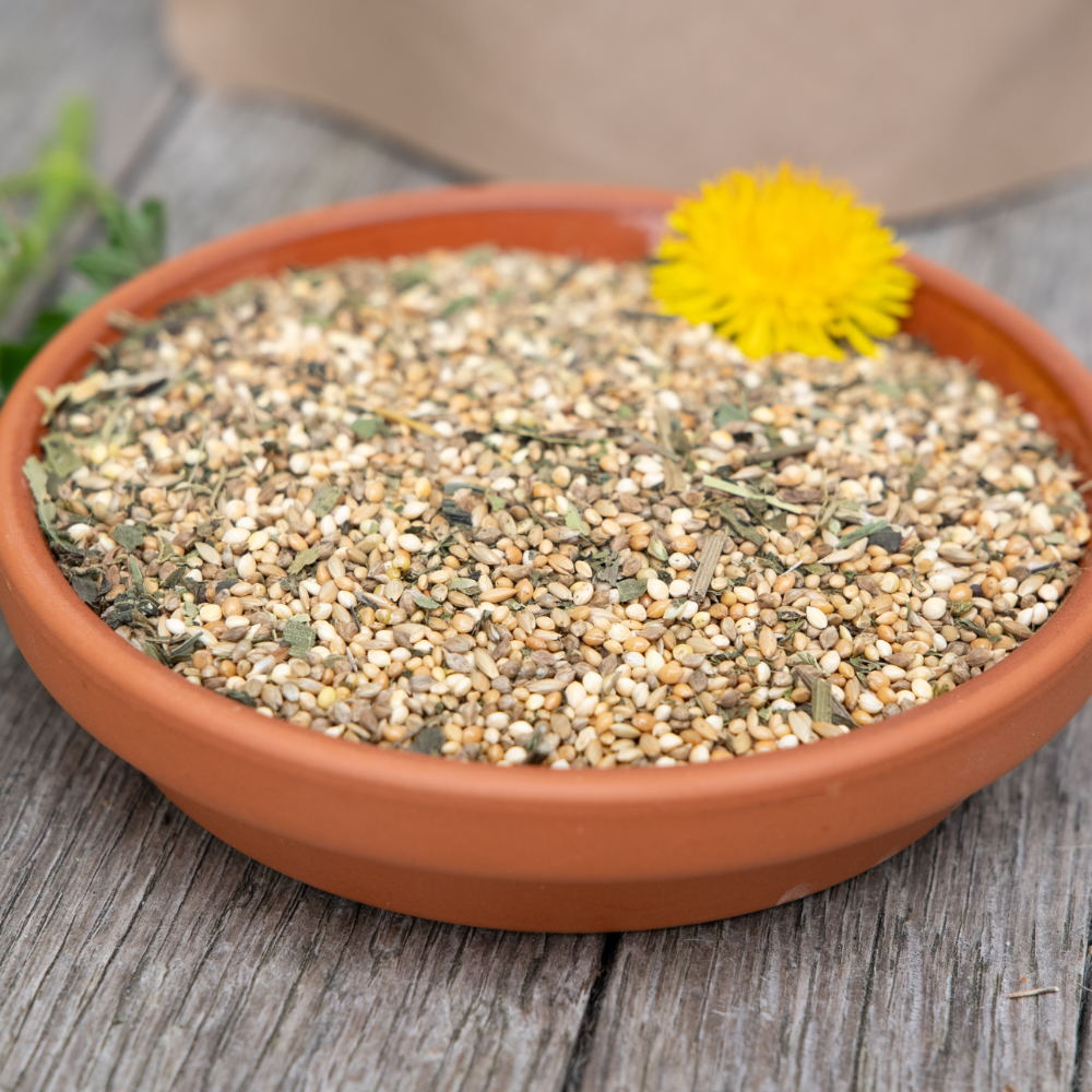 mischung-gefieder-mauserfutter-wellensittiche-nympehnsittiche-vogelfutter