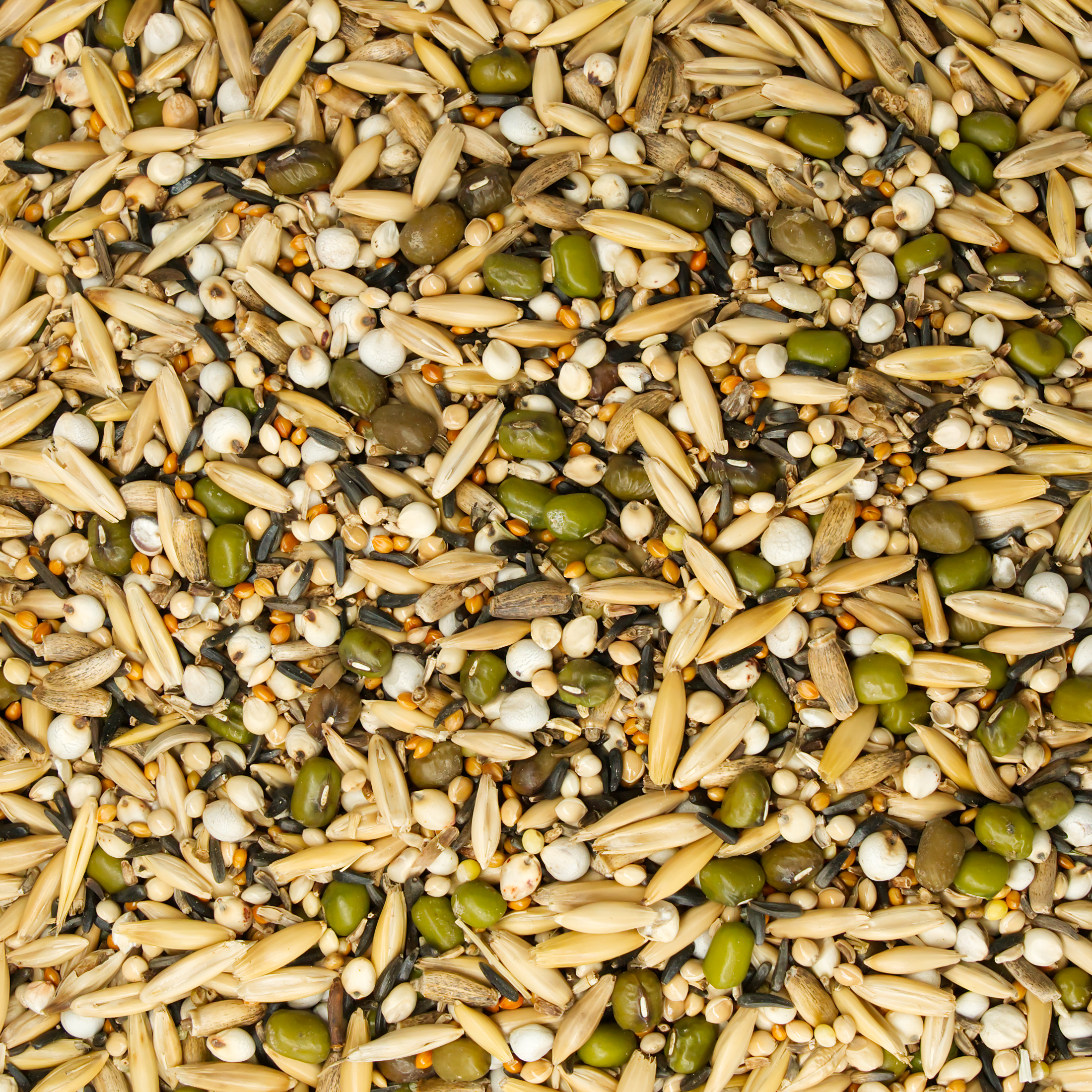 allerlei_keimfutter_koernerbude_voegel