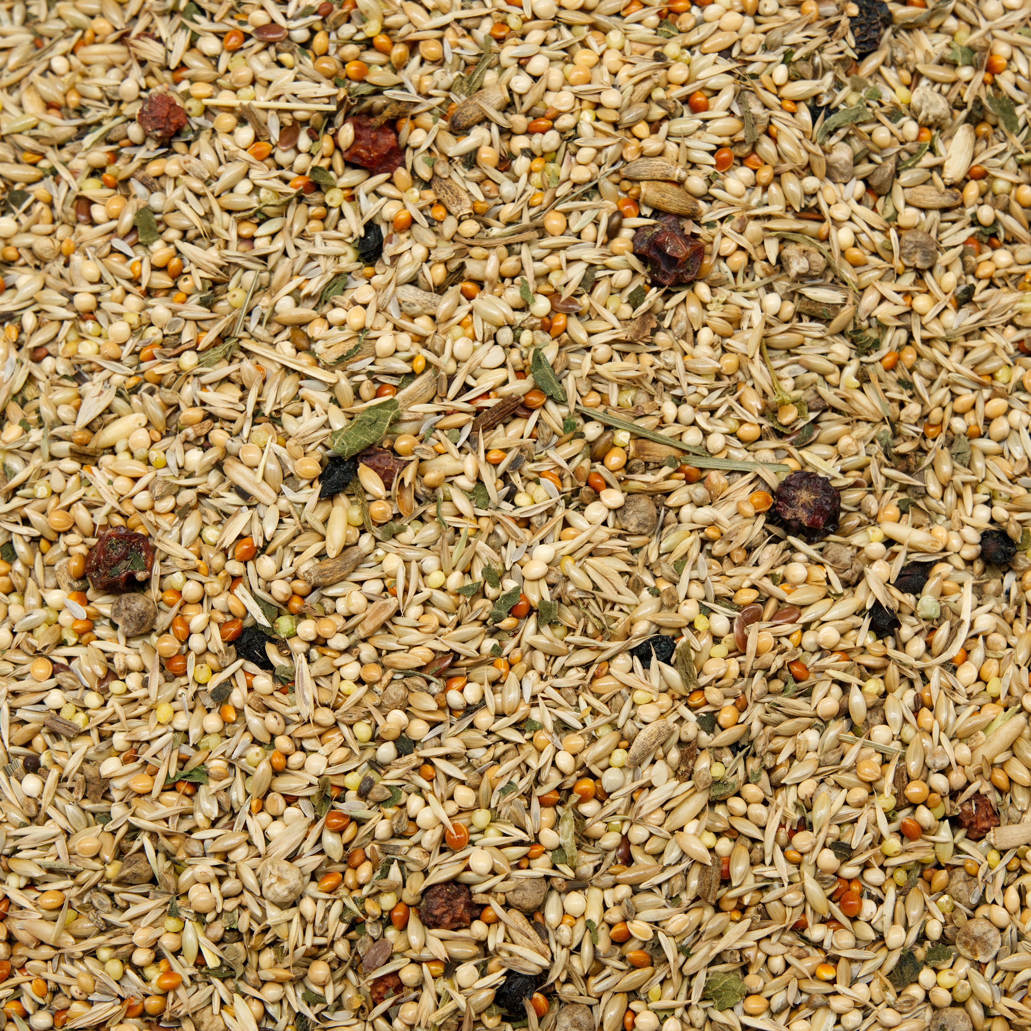 jehl_wellensittichfutter_spezial_koernerbudeyRLoRwMHeh54N