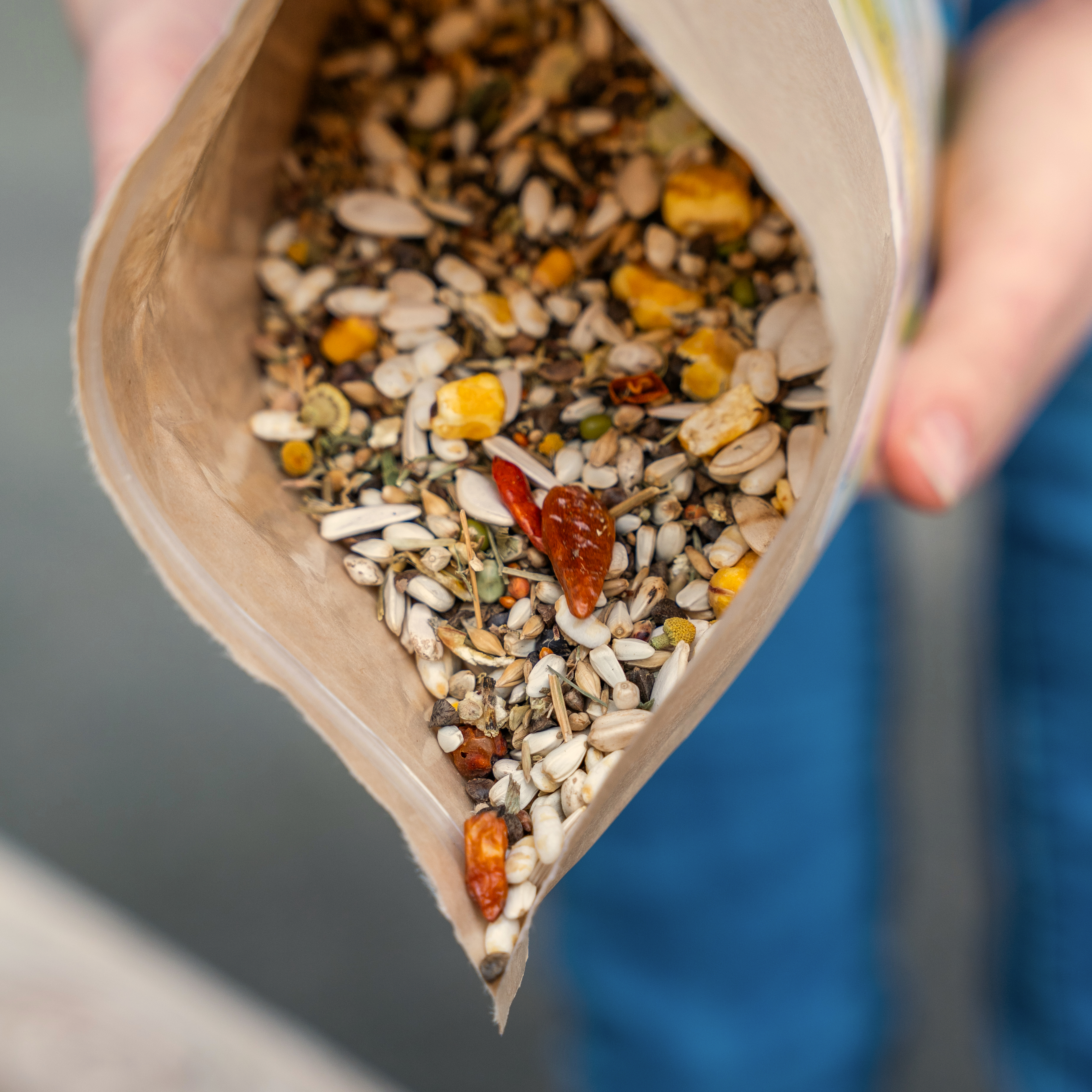 papageienfutter-graupapagei-amazonenfutter-krauterfutter-koernerbude-kraeuterwohl1cC9Kh7vkTZ834