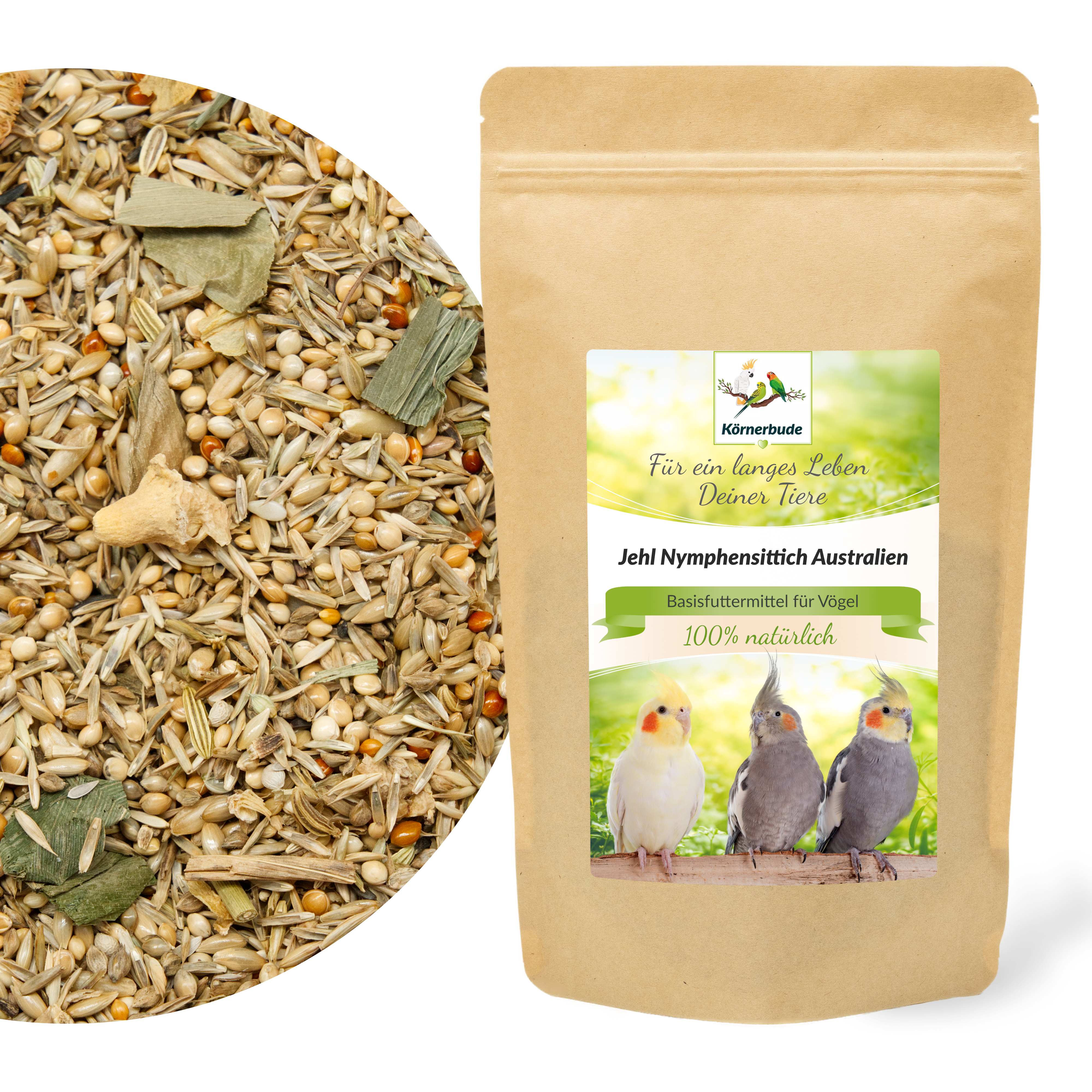 Jehl Nymphensittich Australien