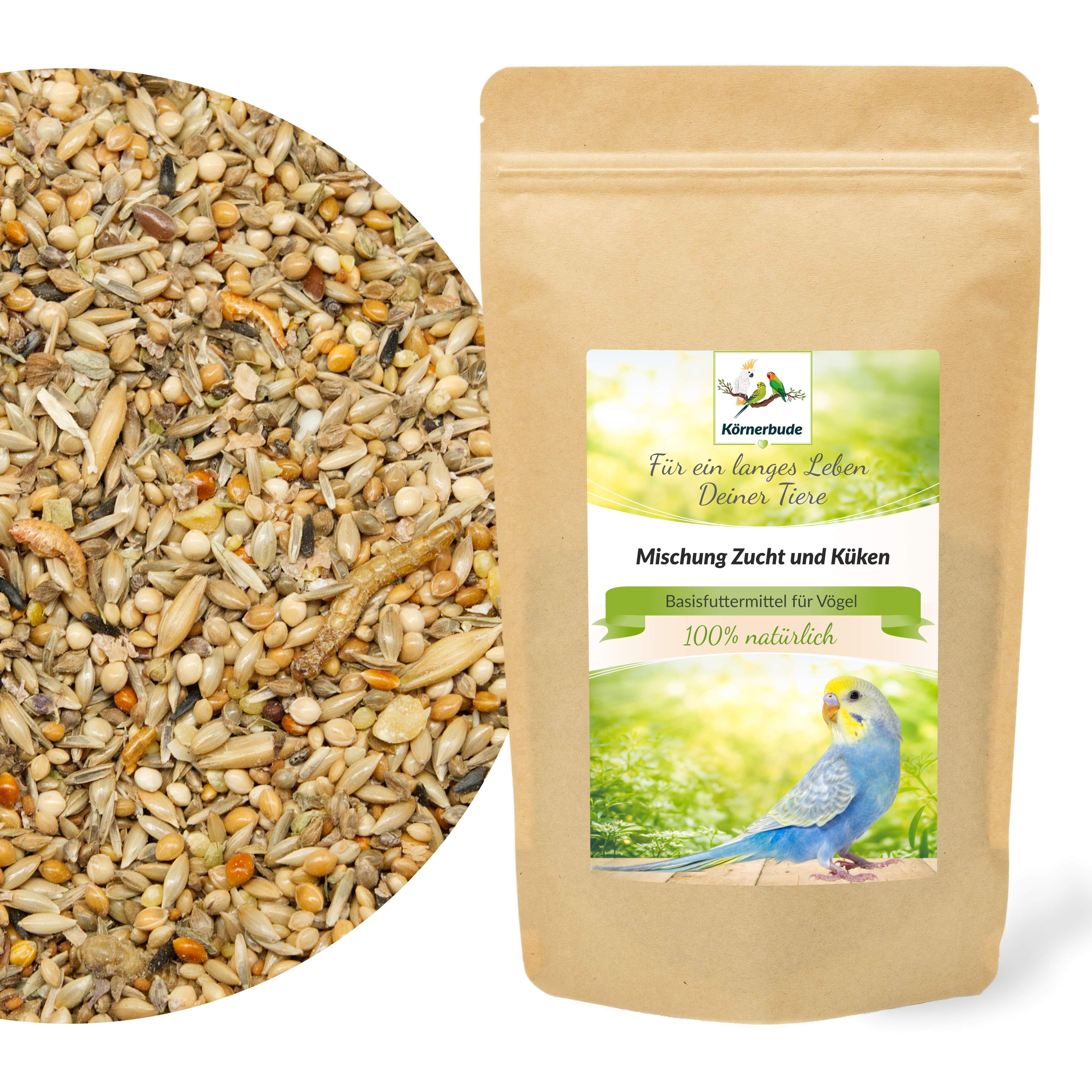 Mischung Zucht und Küken für Sittiche & Exoten