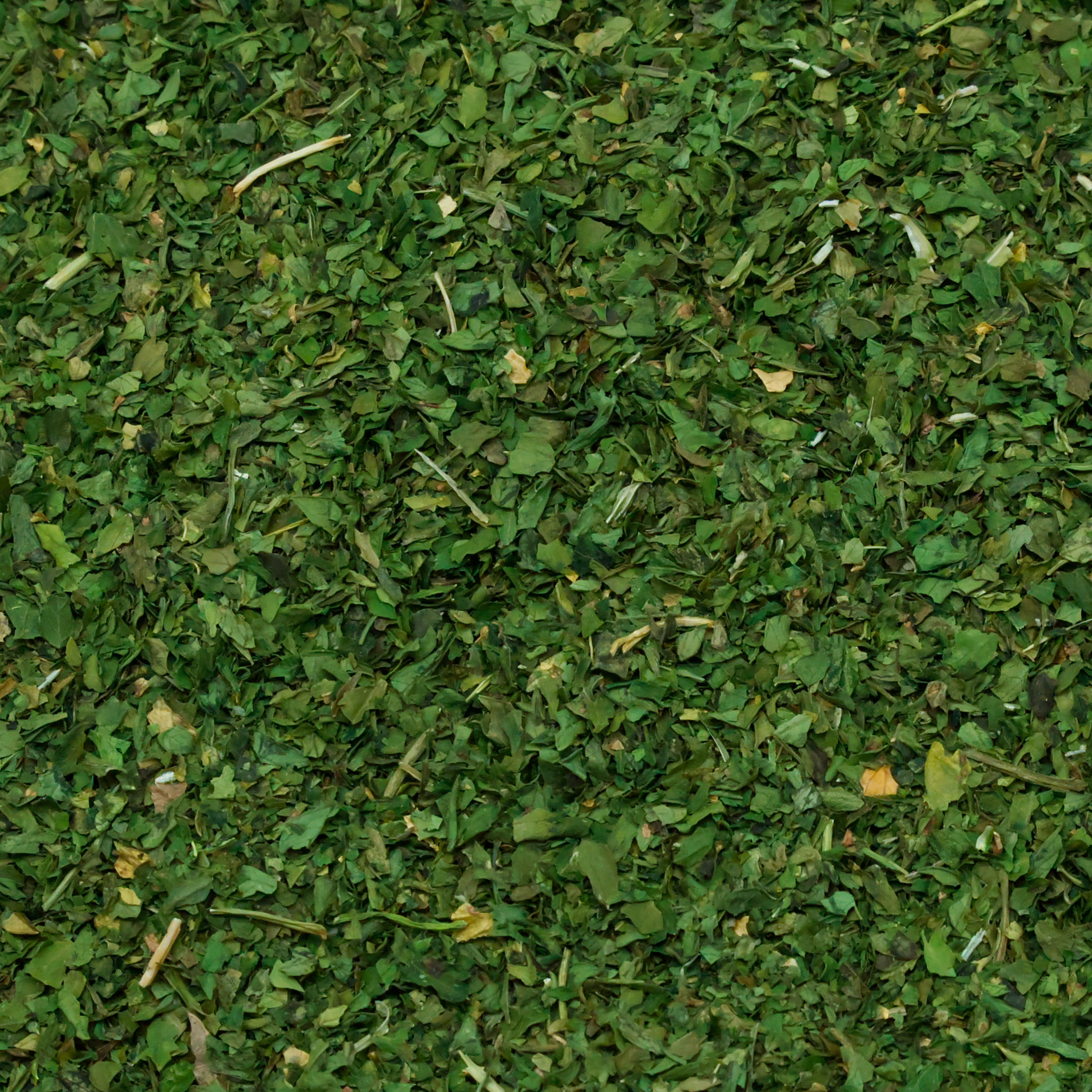 petersilie-einzelfutter-fuer-voegel-koernerbude1 Petersilienblätter, geschnitten